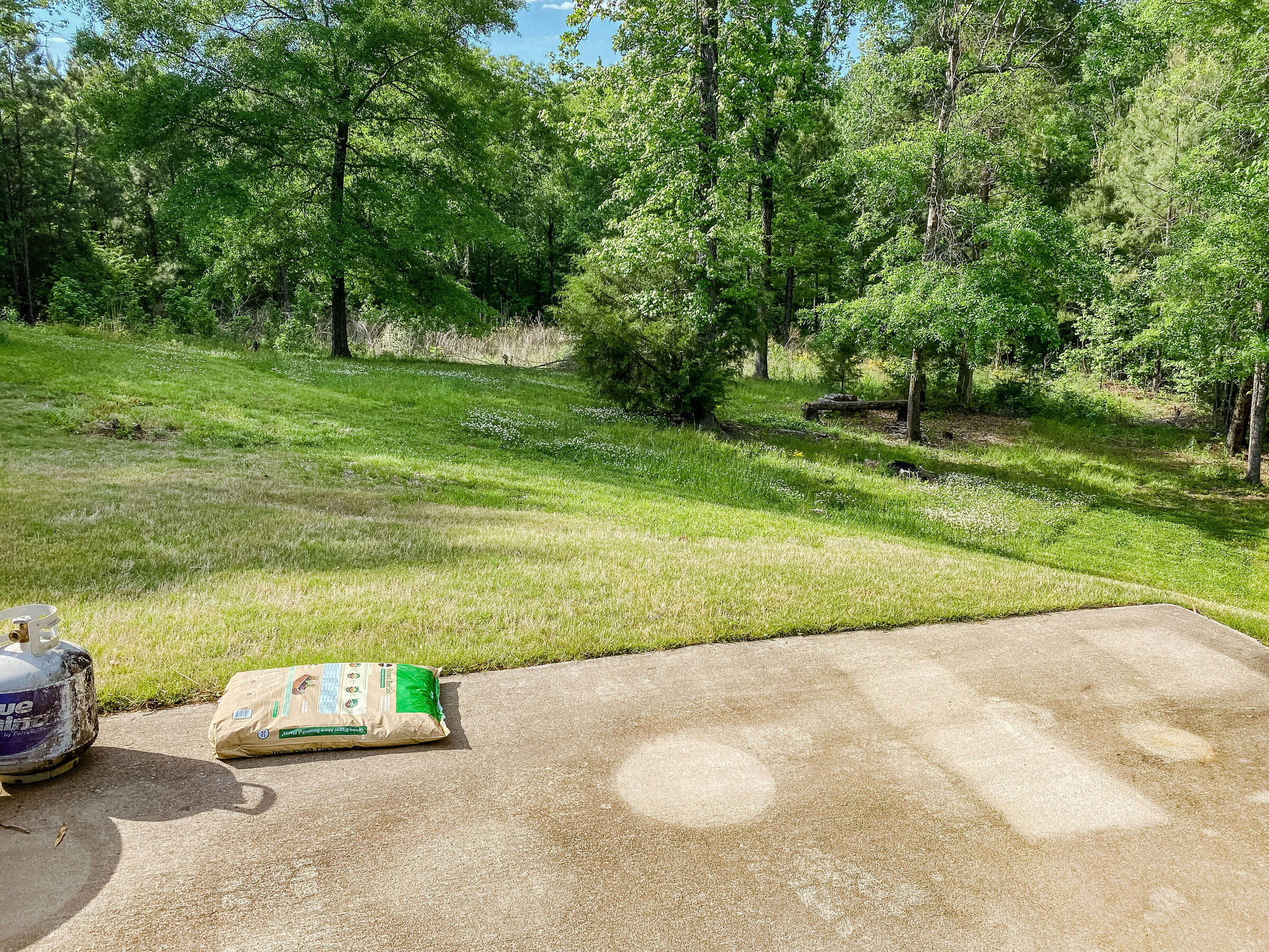 green-trees-and-grass-on-a-hill-next-to-driveway