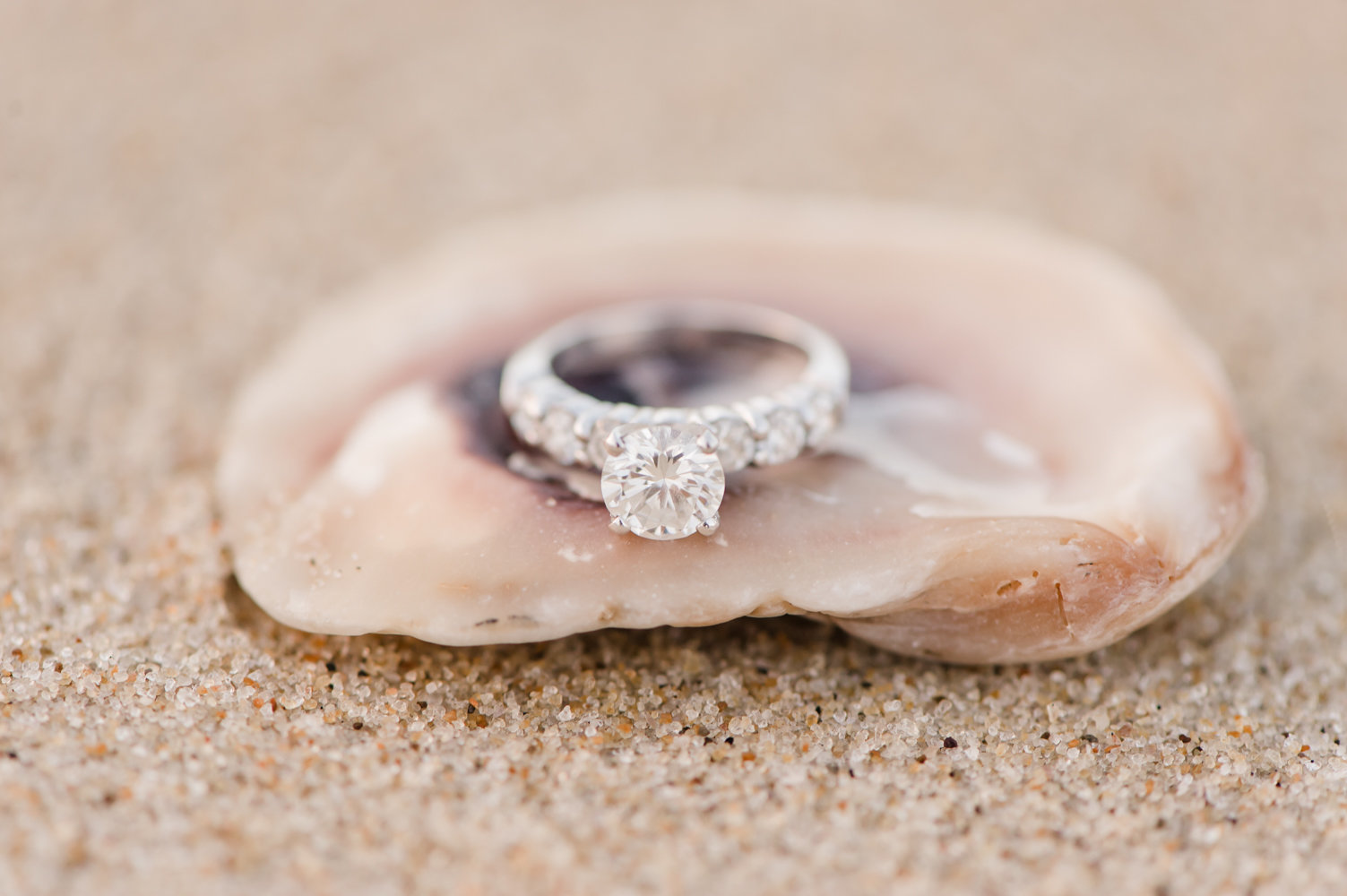 engagement-portraits-christina-forbes-photography-4