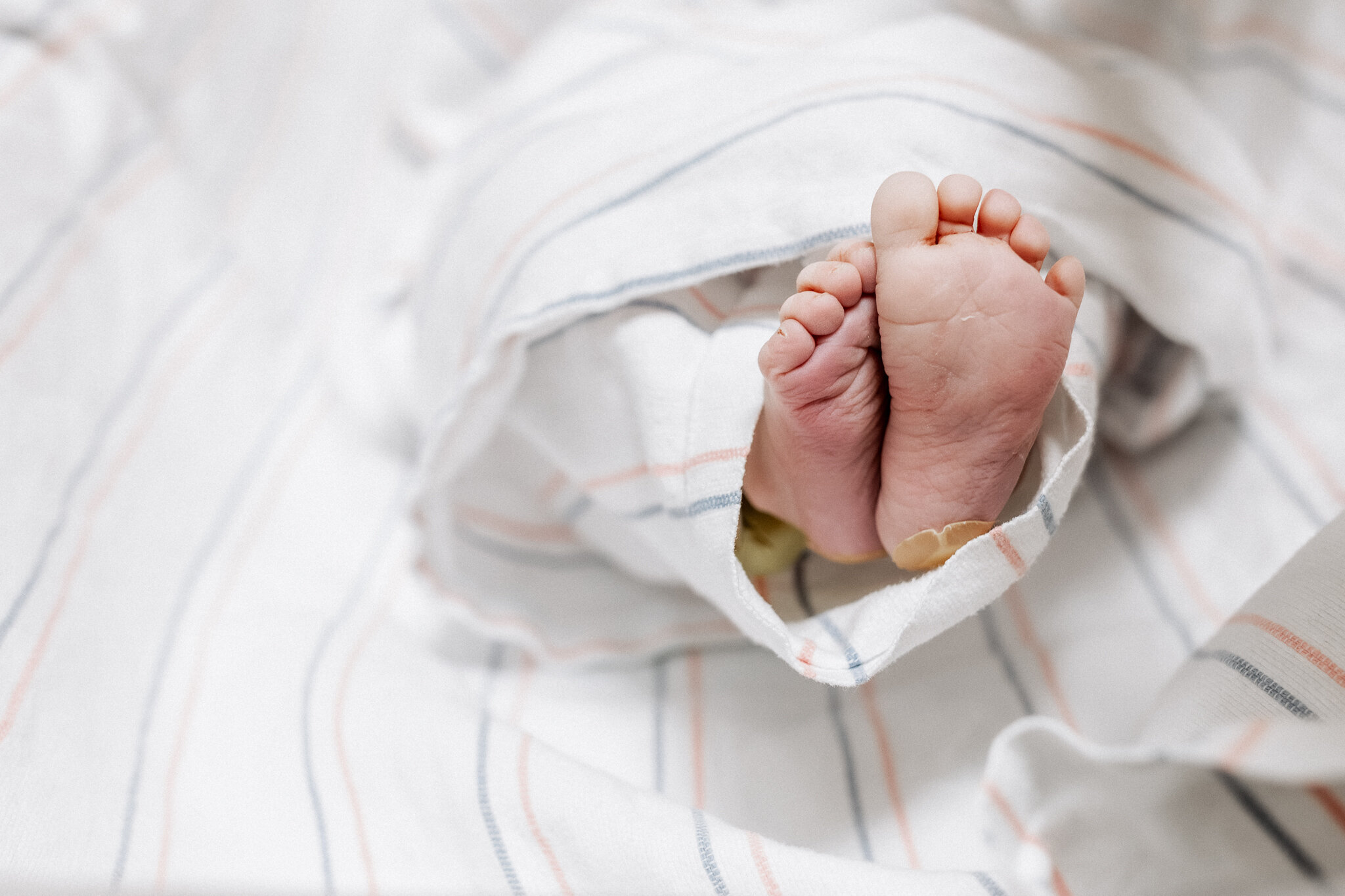 Modesto Photographer-28