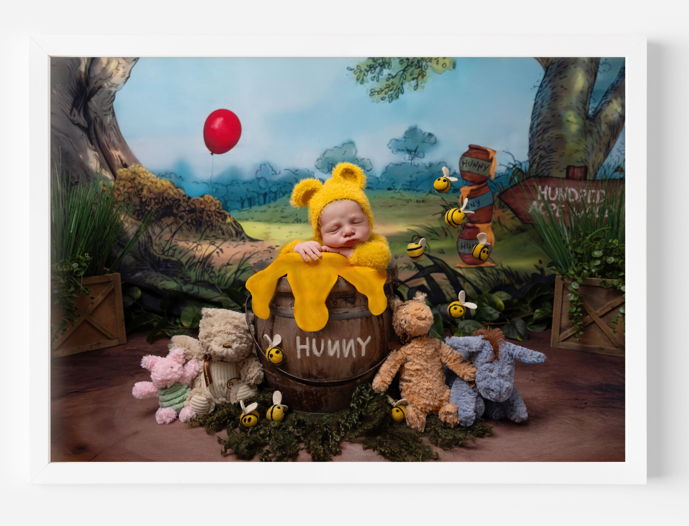 2winnie-the-pooh-Luxury-affordable-family-newborn-photographer-in-fort-woth-texas-springtown-aledo