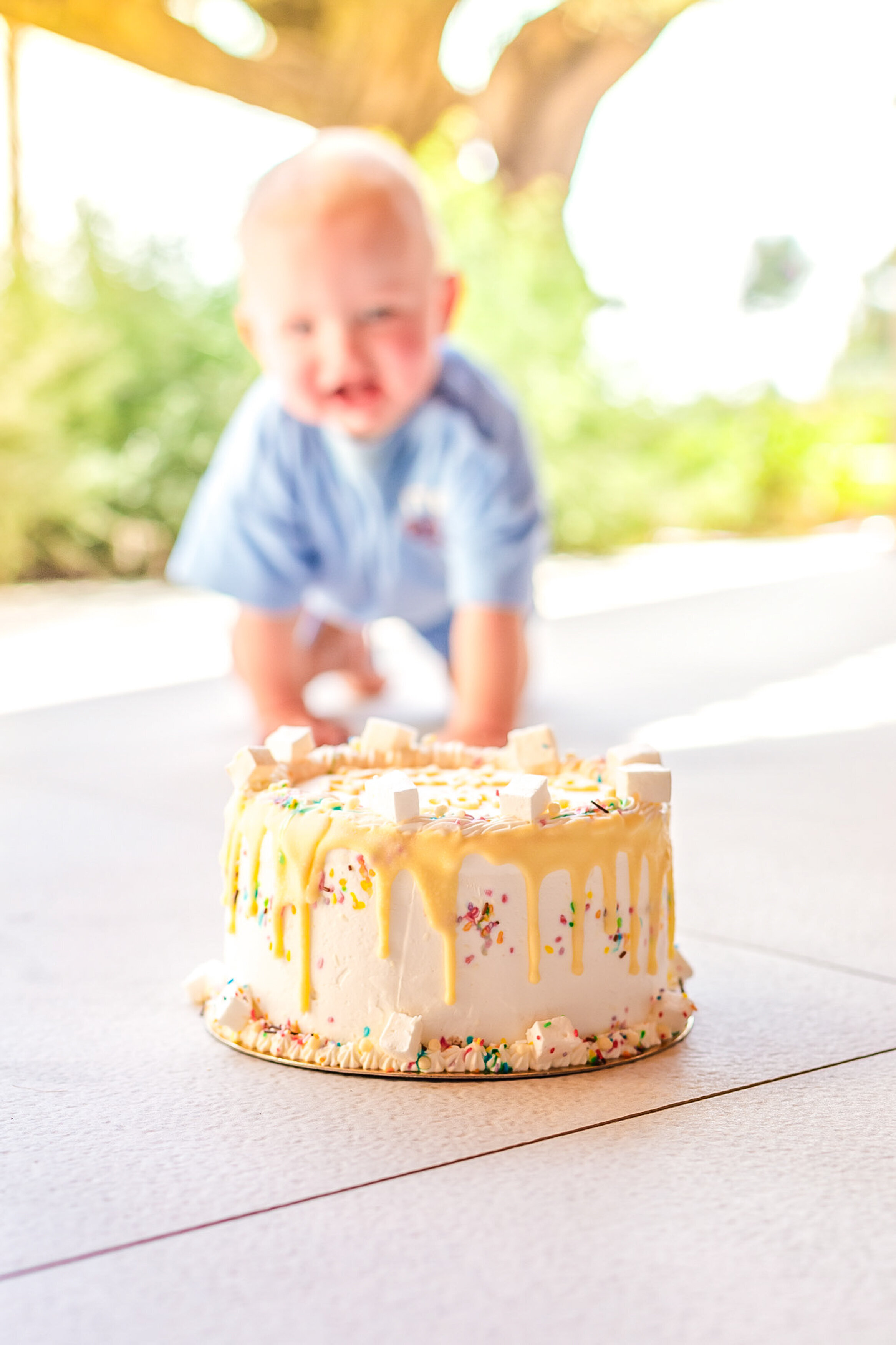 Children photo shoot M smash cake     -10