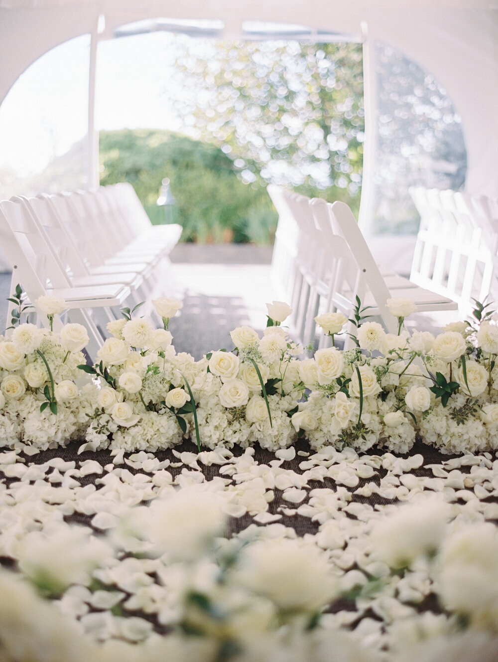 white roses fill the wedding ceremony aisle