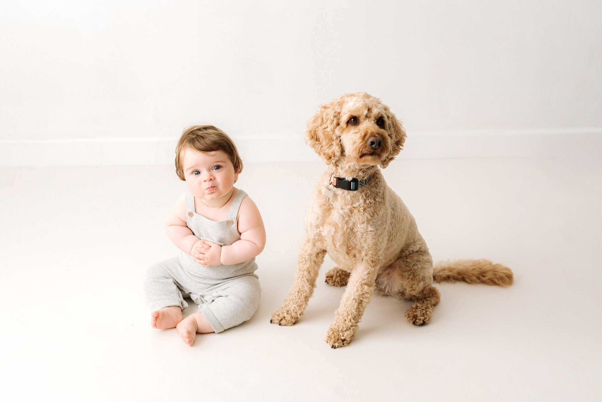 Little boy sitting next to his dog at milestone photoshoot in billingshurst