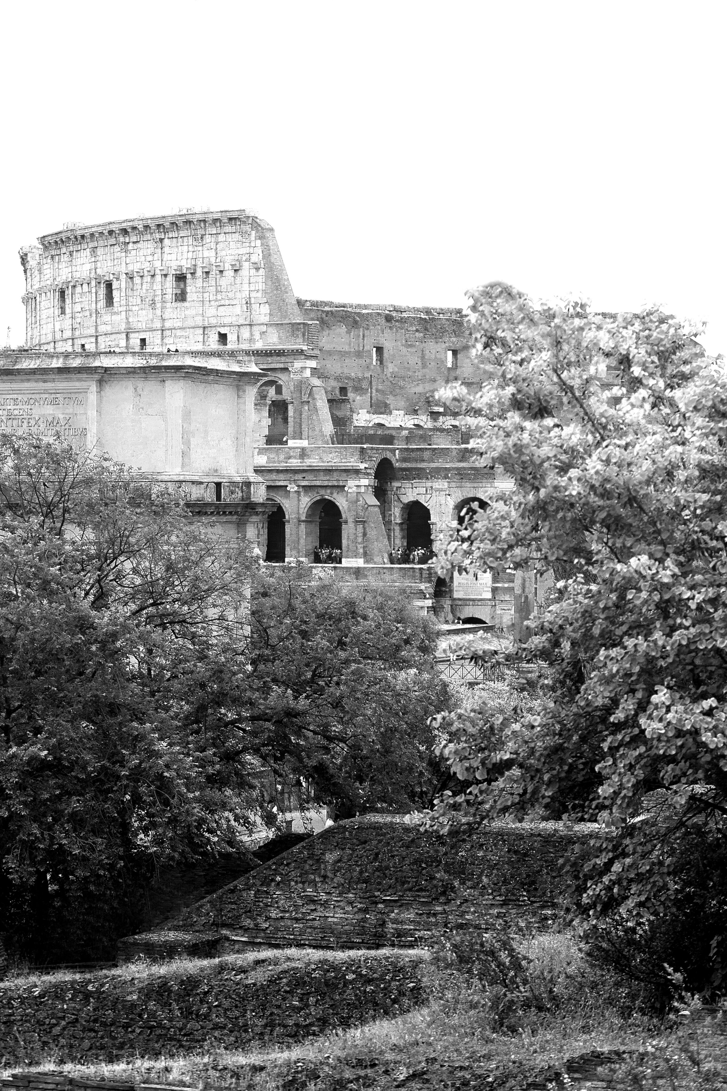 colosseum-from-arcade-karenlippowiths