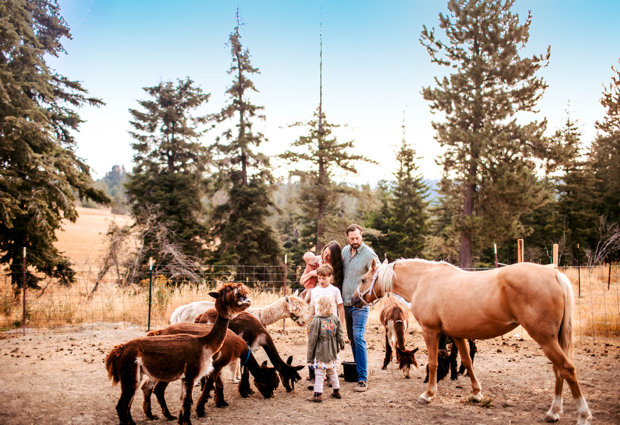 mcminnville oregon family photographer 134