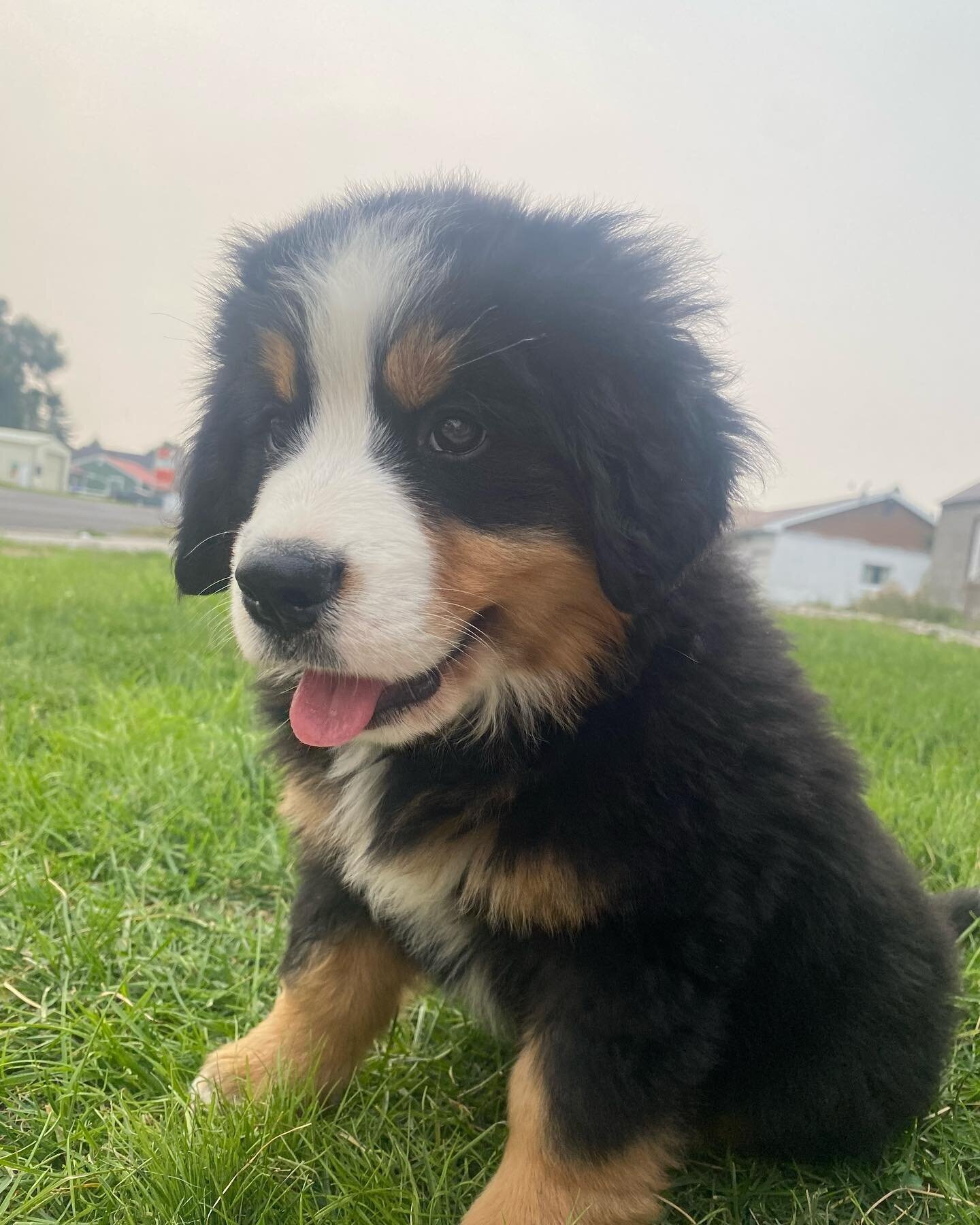 301984031_825646705272298_5541779898498559914_n