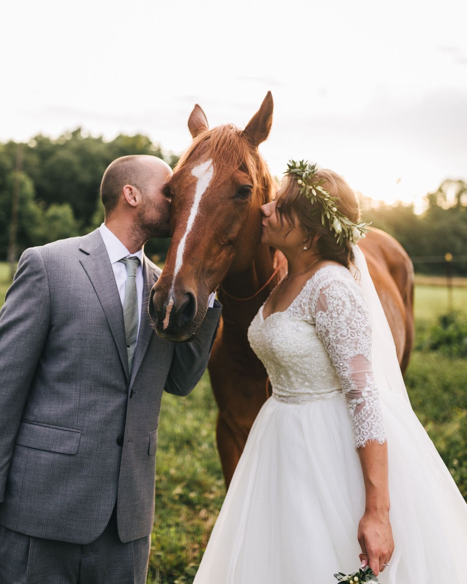 wedding couple with their horse kissing