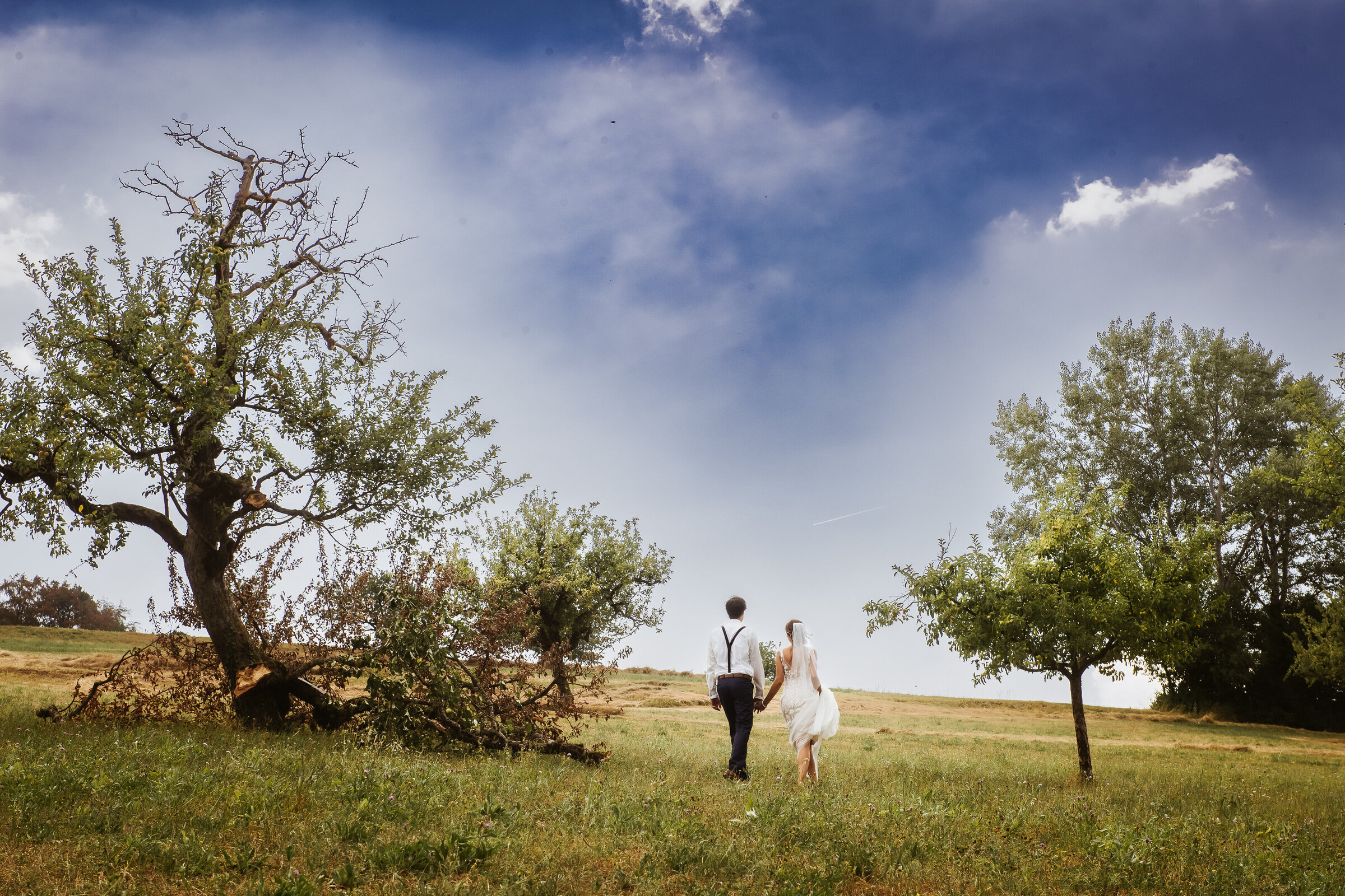wedding-check-3-443