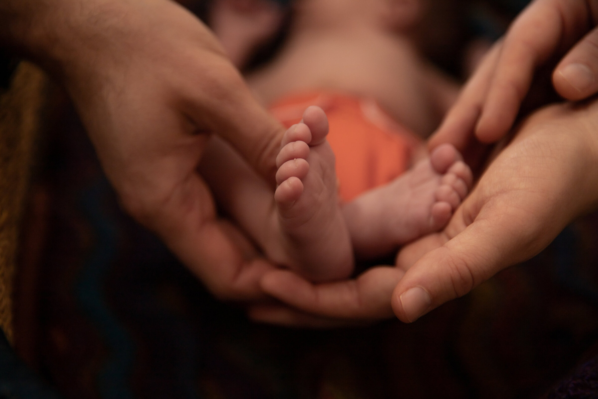 newborn-feet-close-up