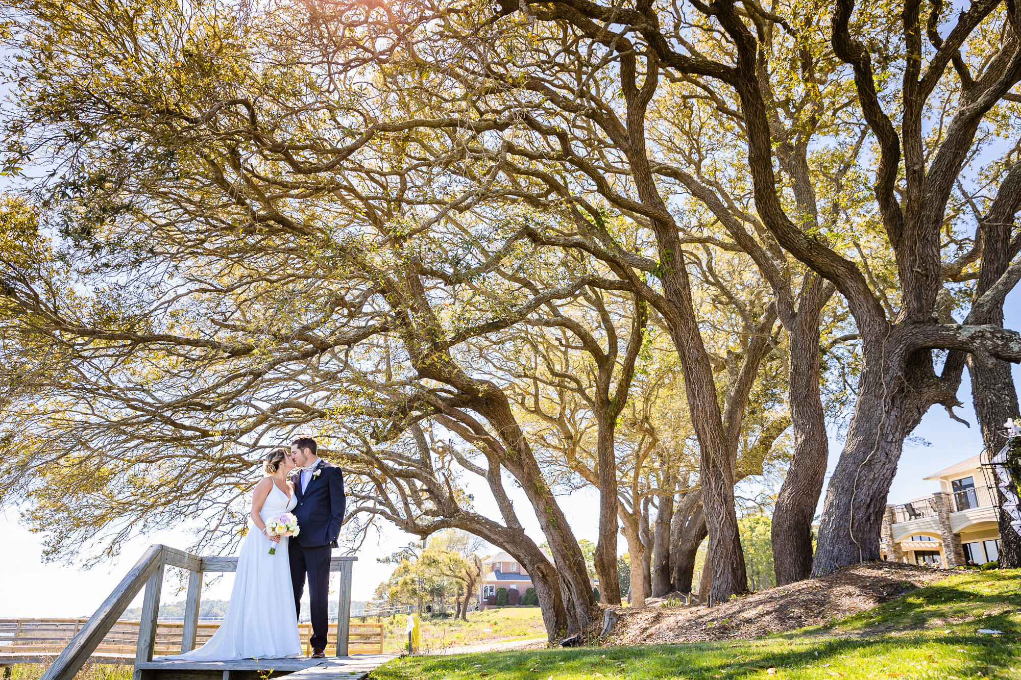 "Just married couple share a kiss under a huge oak tree on the Intracoastal waterway in Wilmington NC"