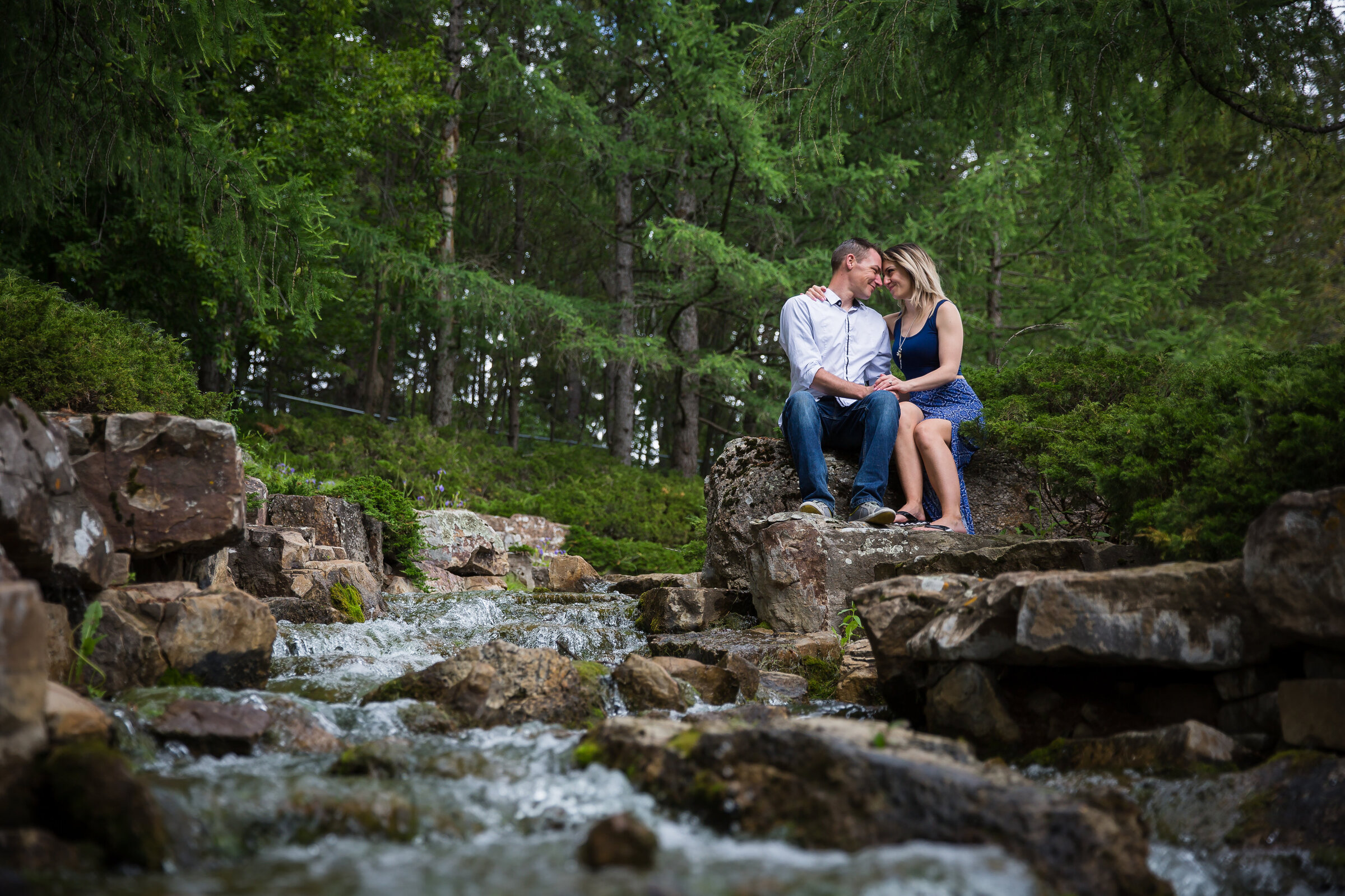 David & Ashlee proposal-6632