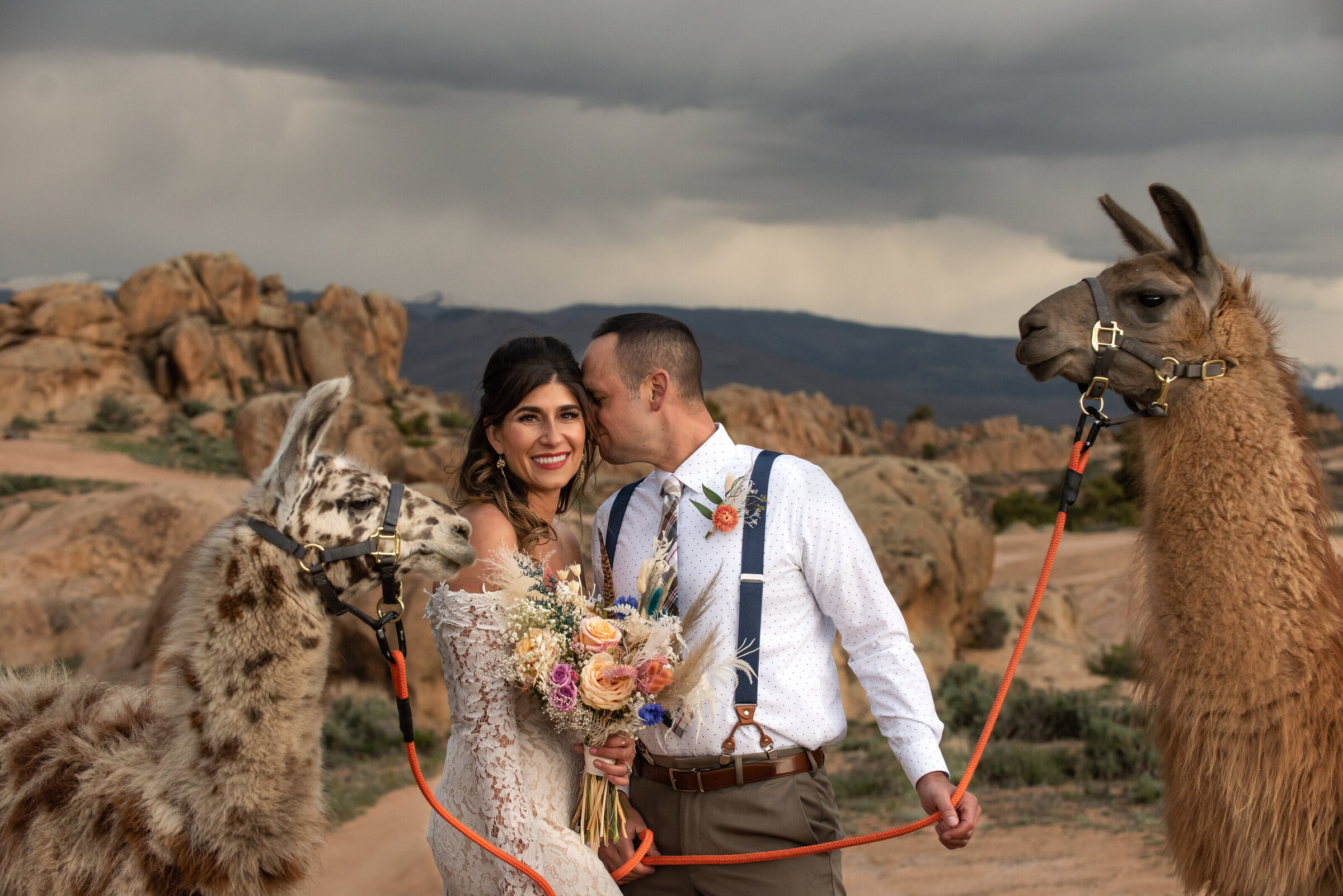 Jessa_Rae_PhotographyLlamaElopement-9