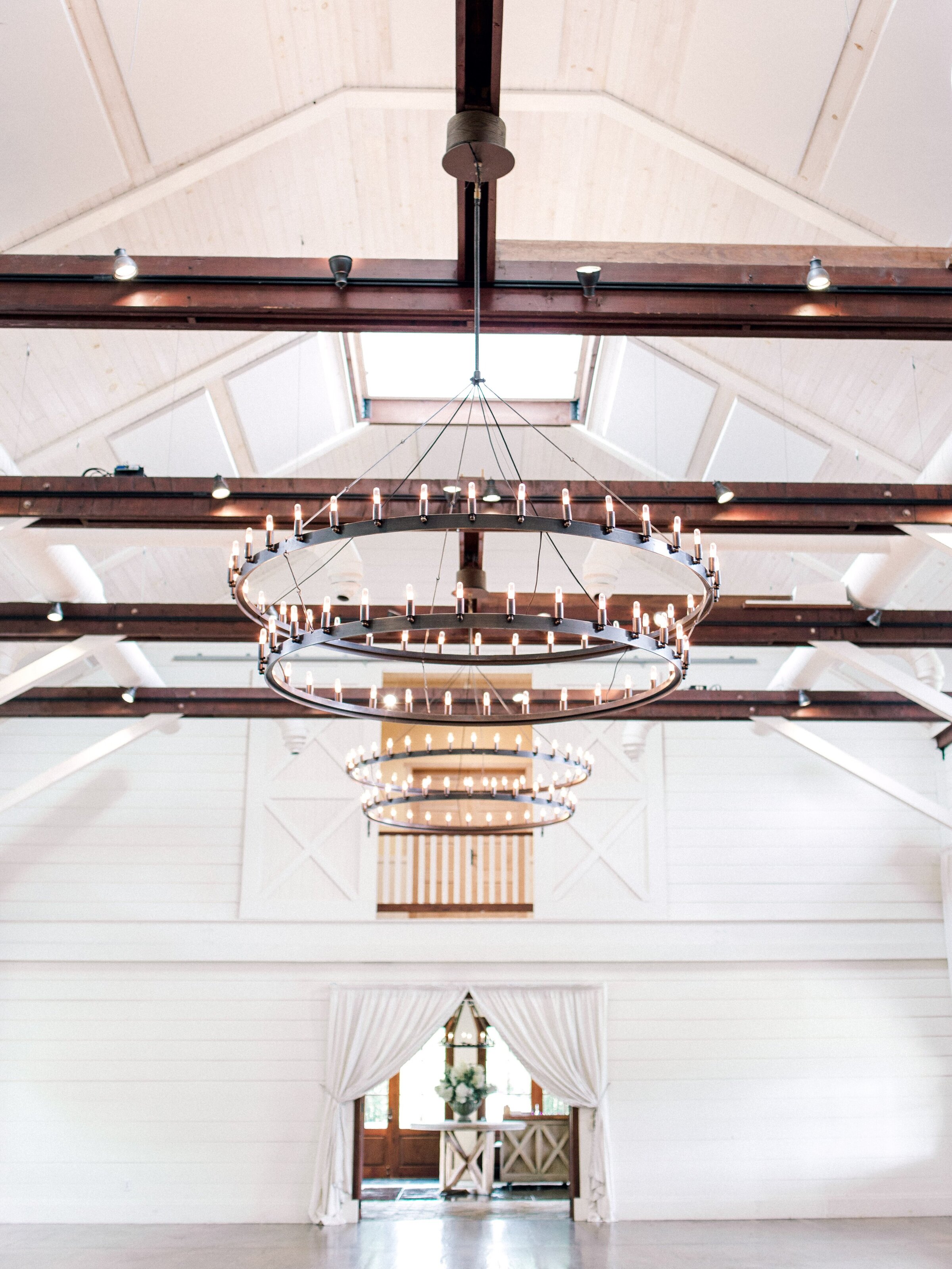 Pippin Hill Wedding Charlottesville Virginia Photographer_32