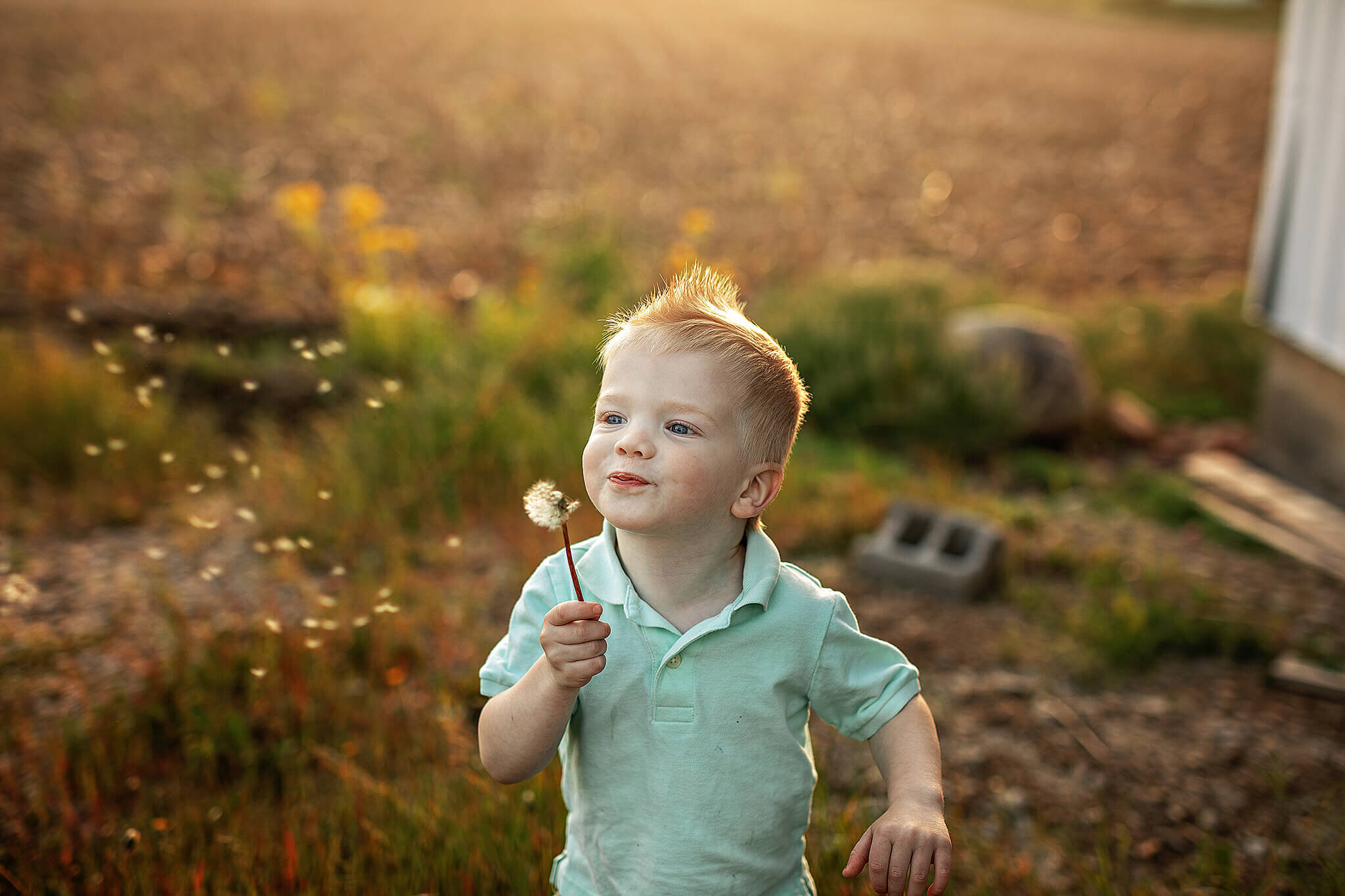 young boy blowing dandelion seeds