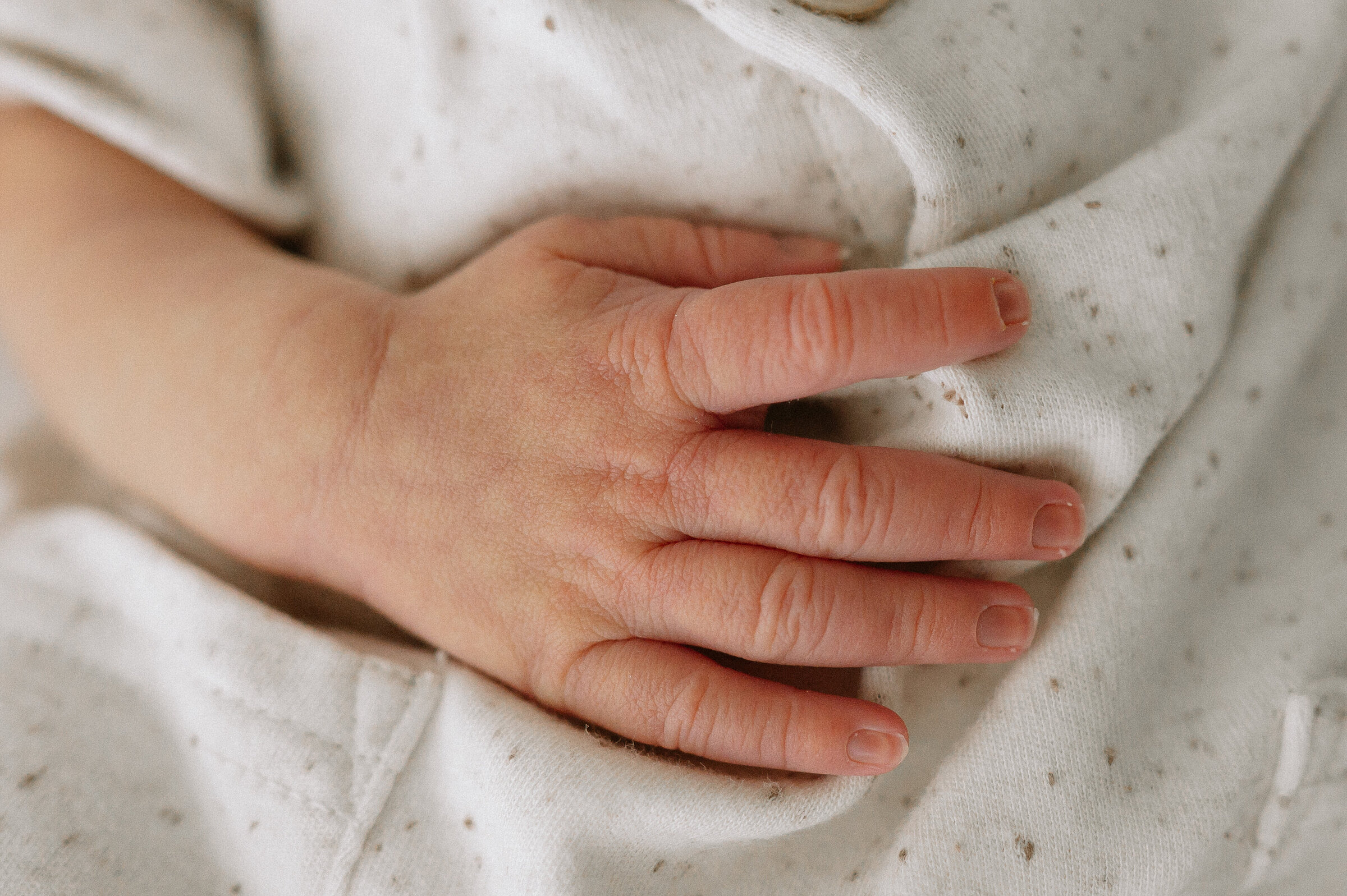 Newborn. York Newborn Photographer, York Baby Photographer, Yorkshire, Baby Photographers, Maternity, Sitter, Older Baby, family photographer, family photography, baby,, yorkshire, harrograte, leeds, ripon