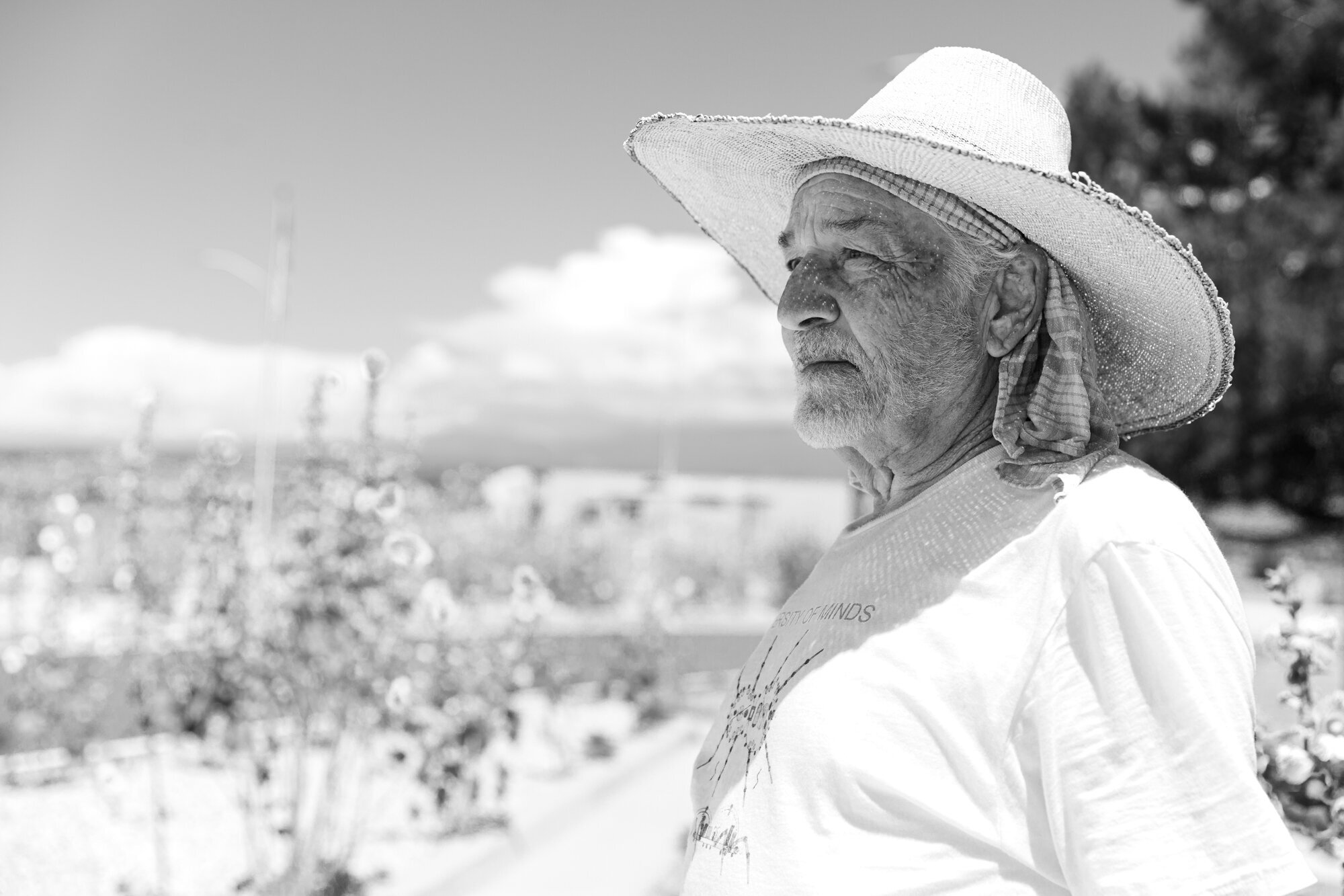 taos-6