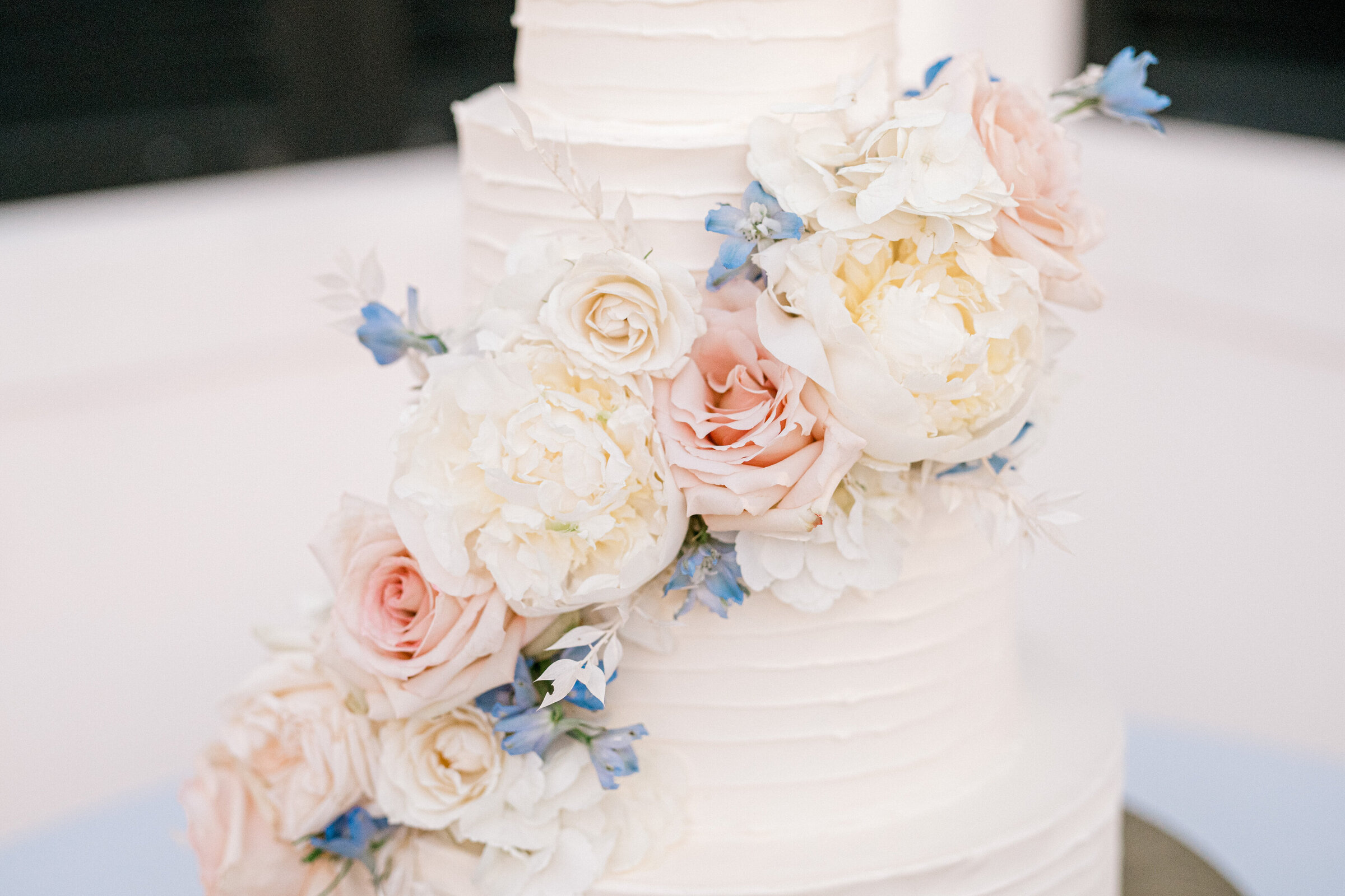 Reception4