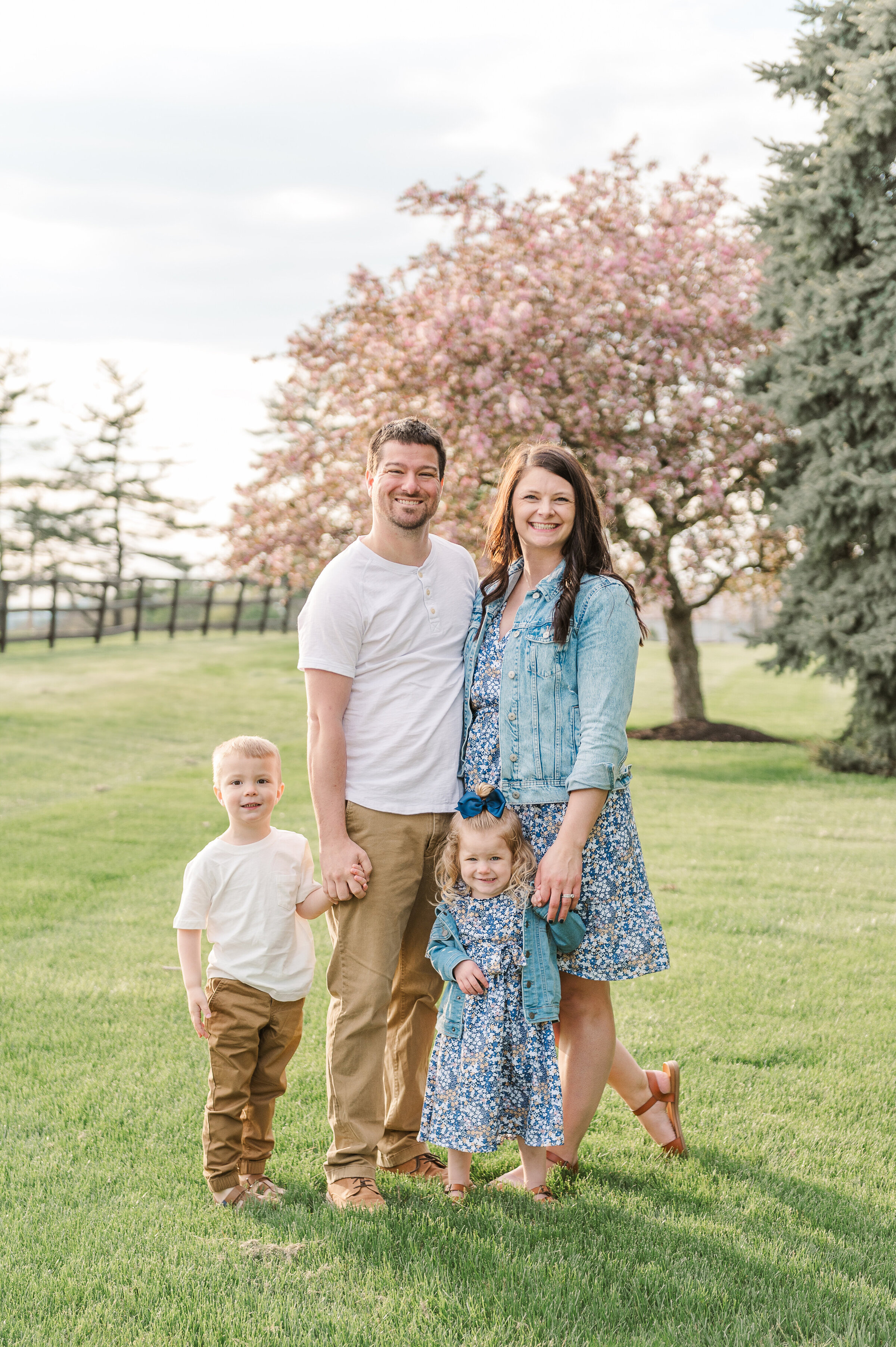 a family of four posing together on a farm with cherry blossoms by harrisburg pa photographer