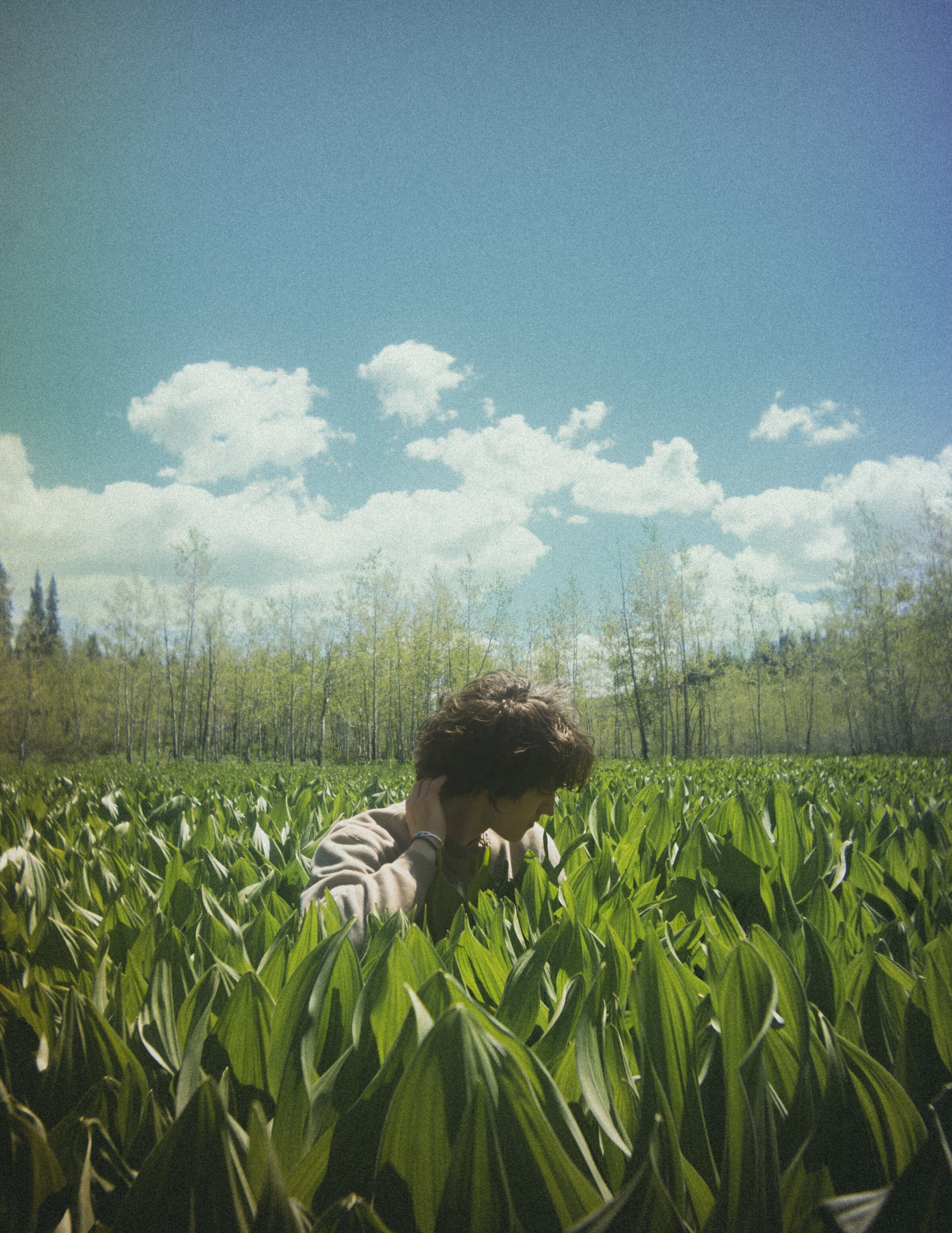 Daisies Outtakes6