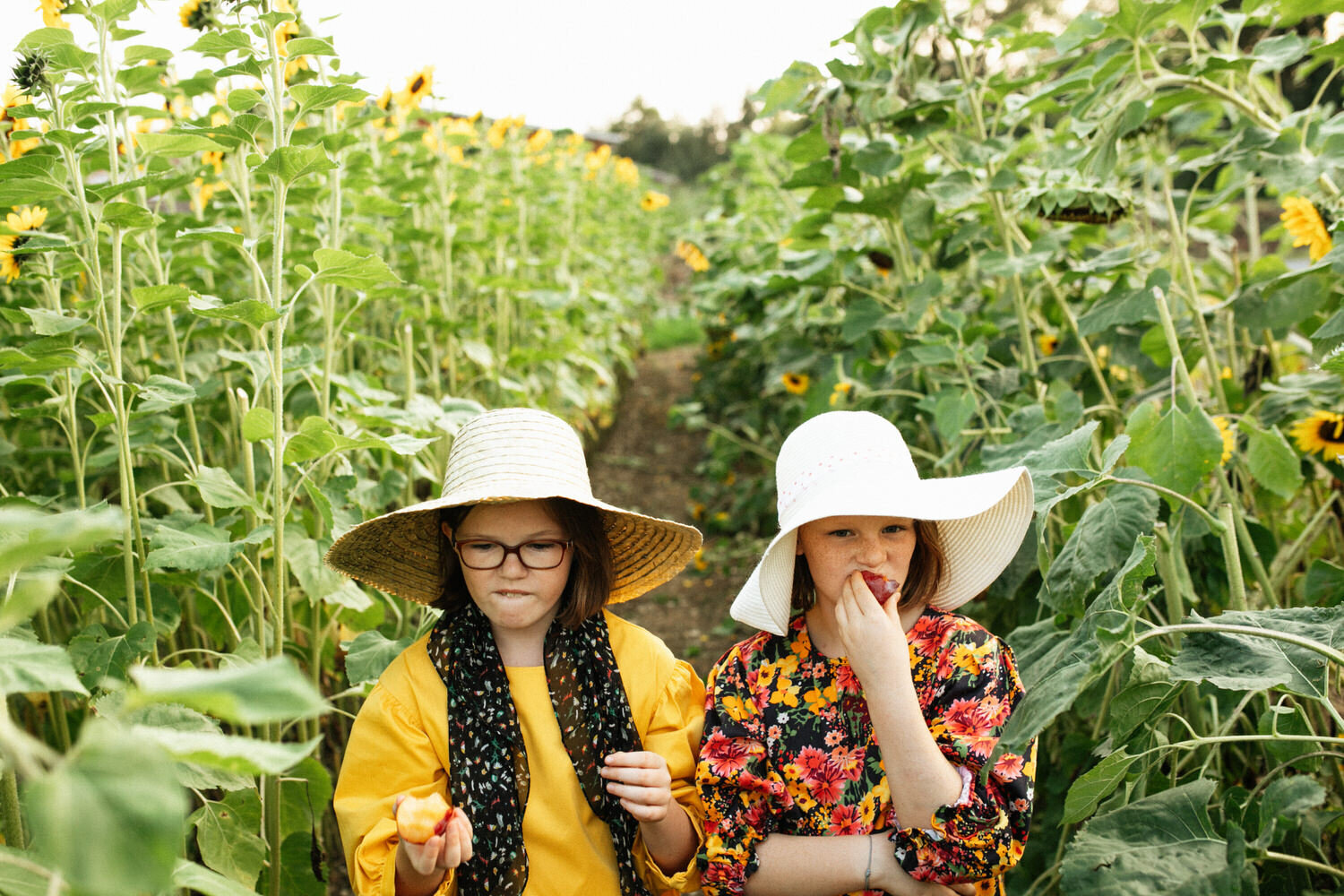 sunflower-zug-children