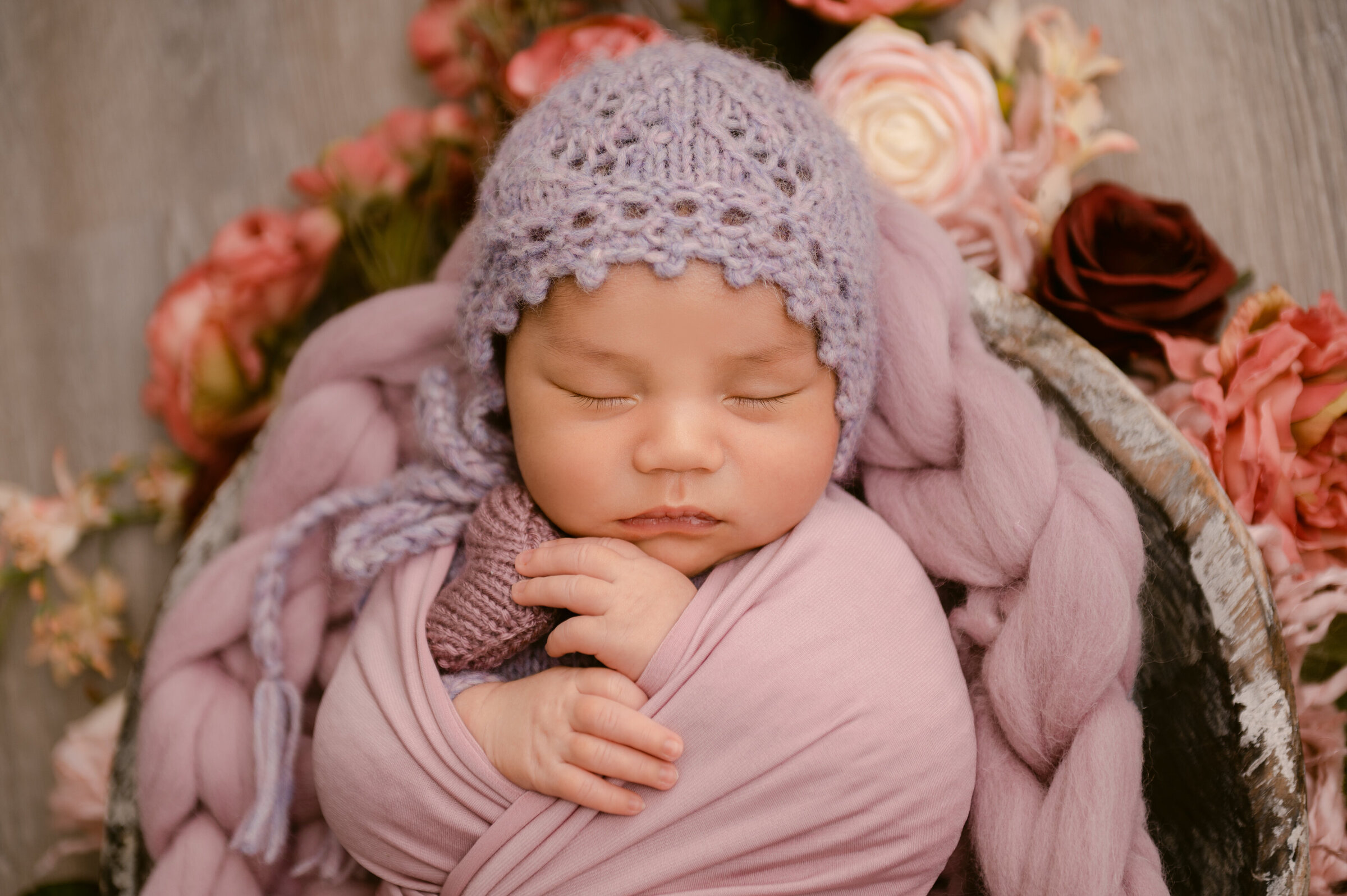 Nicole Hollenkamp - Baby Photographer | Princeton Minnesota | Photographing Newborns, Pregnancy,  Babies, Families in studio and outdoors
