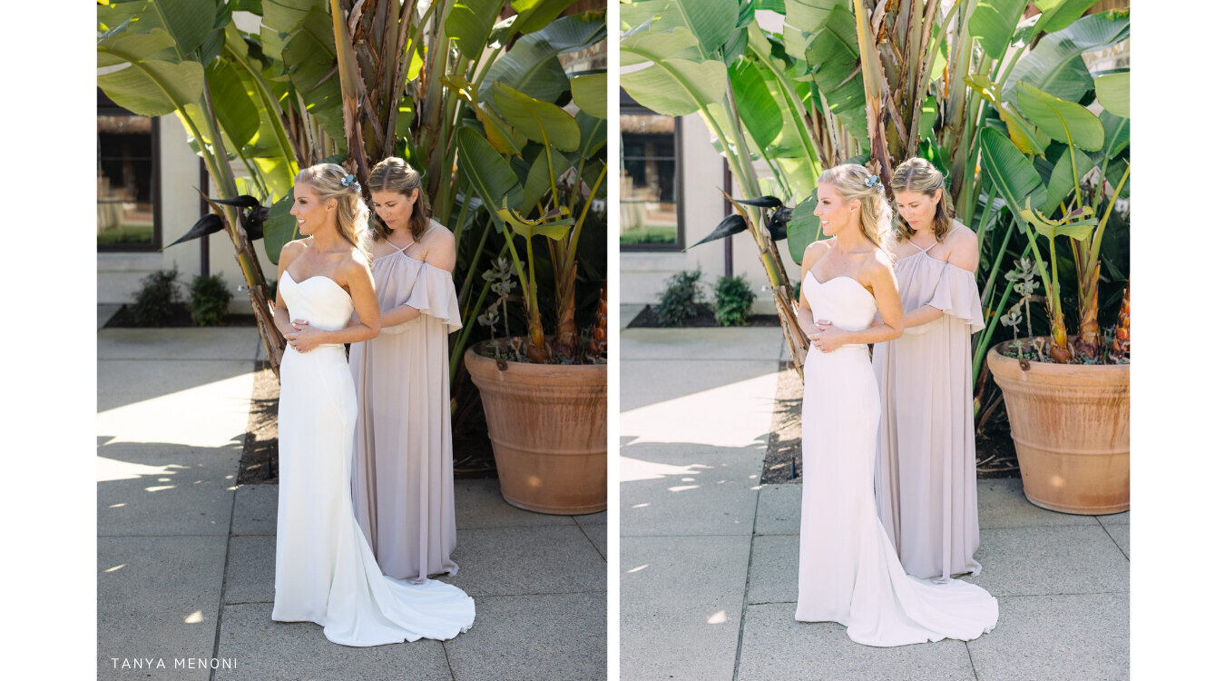 Tanya Menoni hybrid film photography editing presets