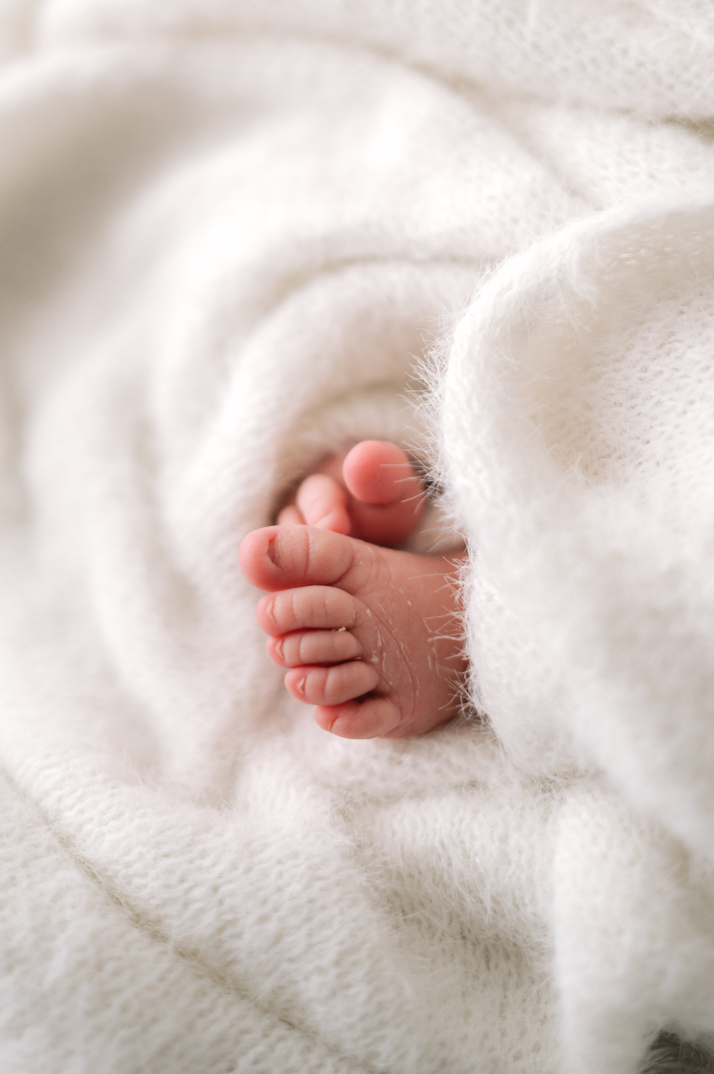 Newborn baby feet wrapped up in a soft white blanket at a newborn photoshoot in Billingshurst