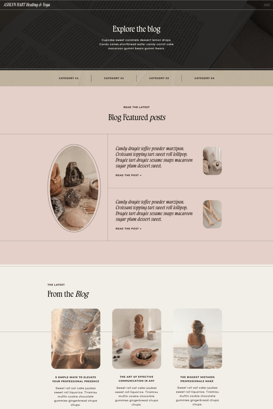 Ashlyn Hart Sales Page View (7)