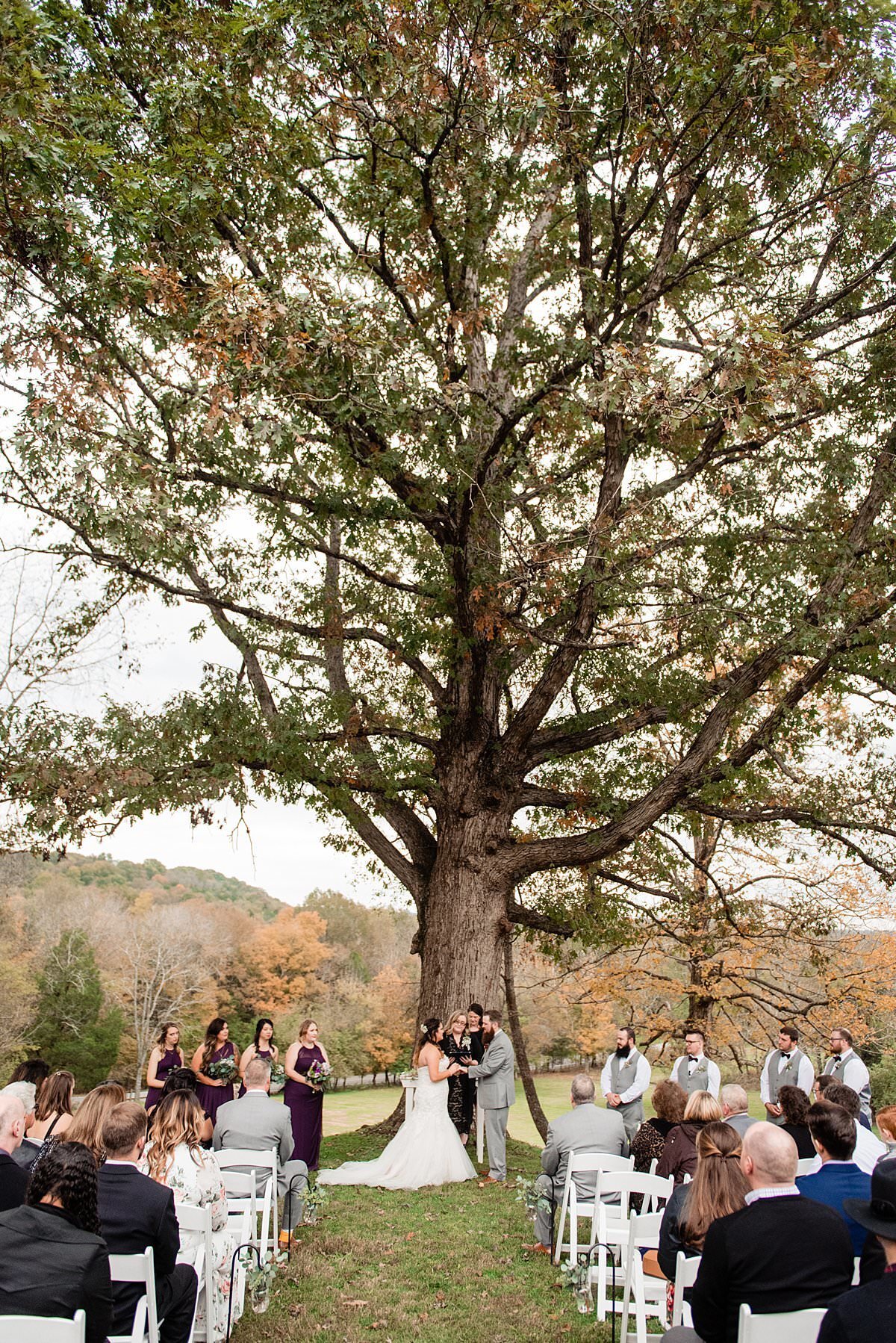Wedding ceremony under historic oak tree at the Pick Inn