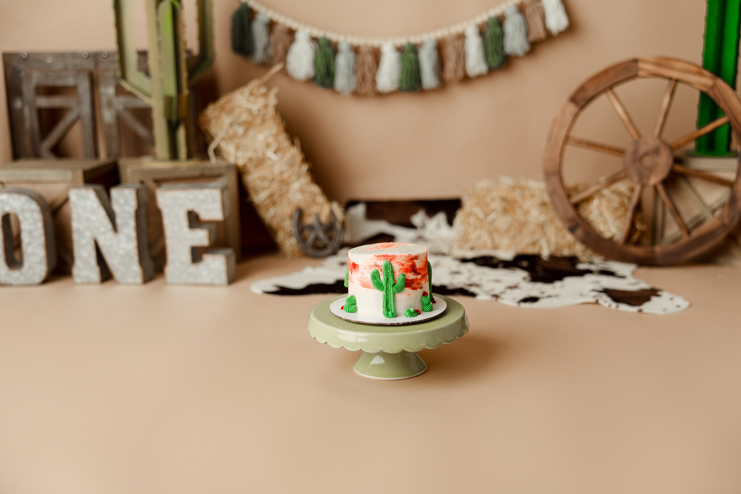 milwaukee-cake-smash-photographer-110
