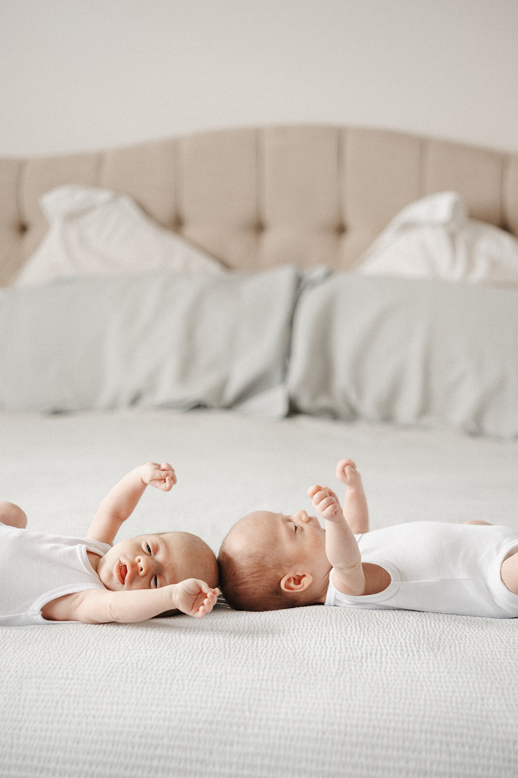 twin newborn photographer melbourne