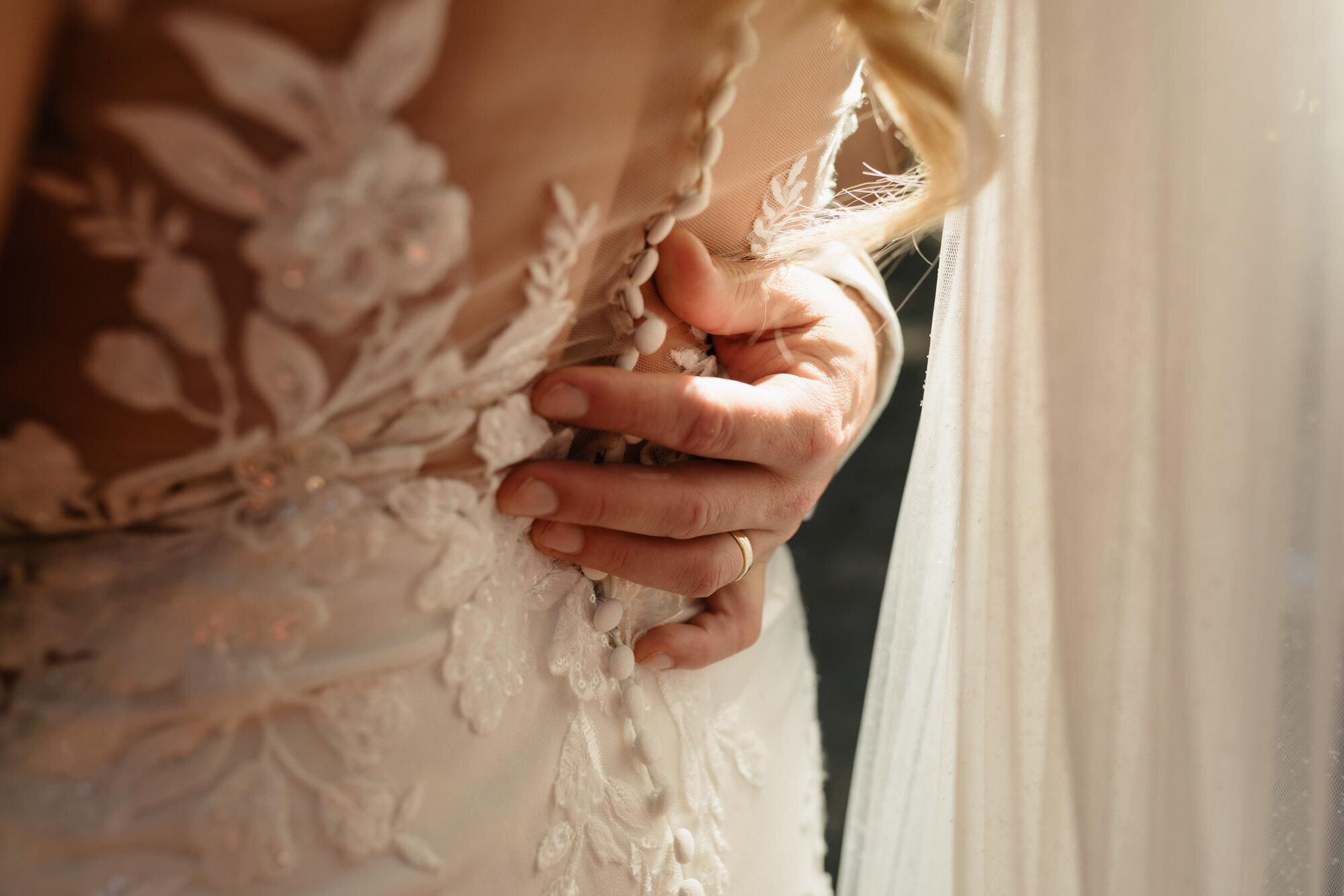 Preview web wr141