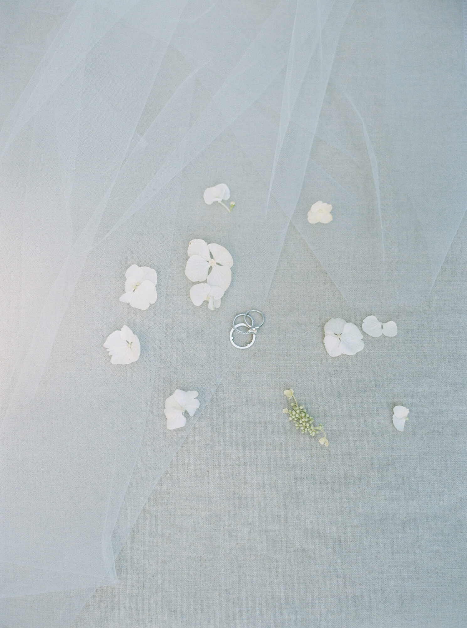 delicate photo of wedding bands and tiny white flowers on minimalist flat lay