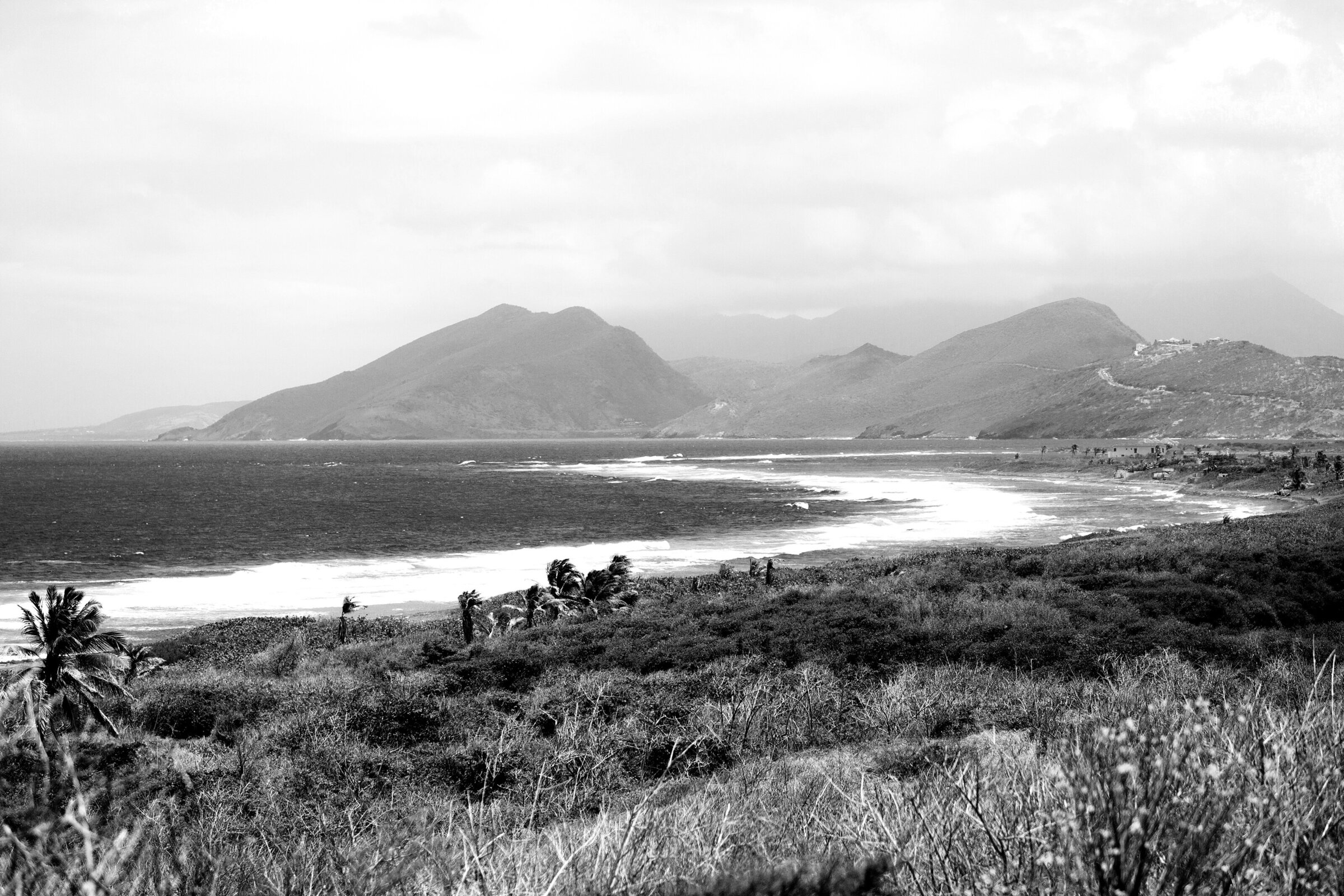 stkitts144bw