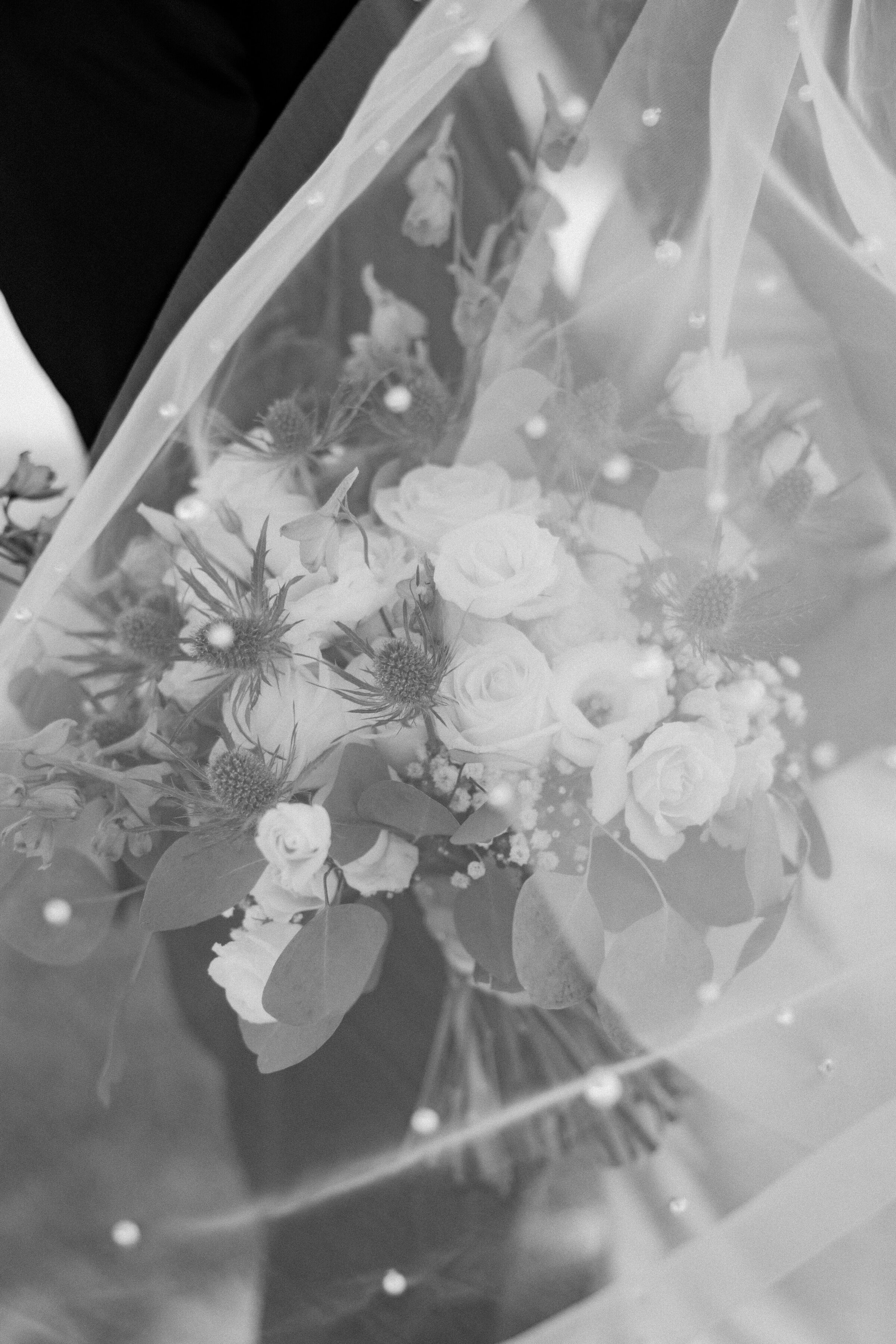 RobinsonCouplesPhotos-9