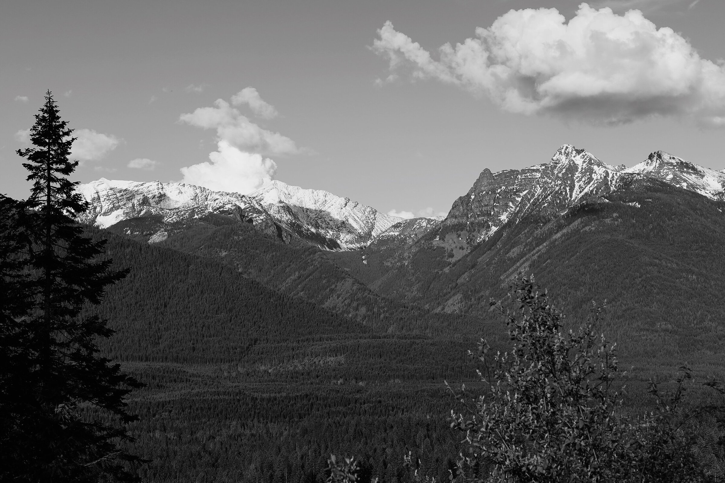 1D901322-1675-4A61-80D8-93D0288F6D64
