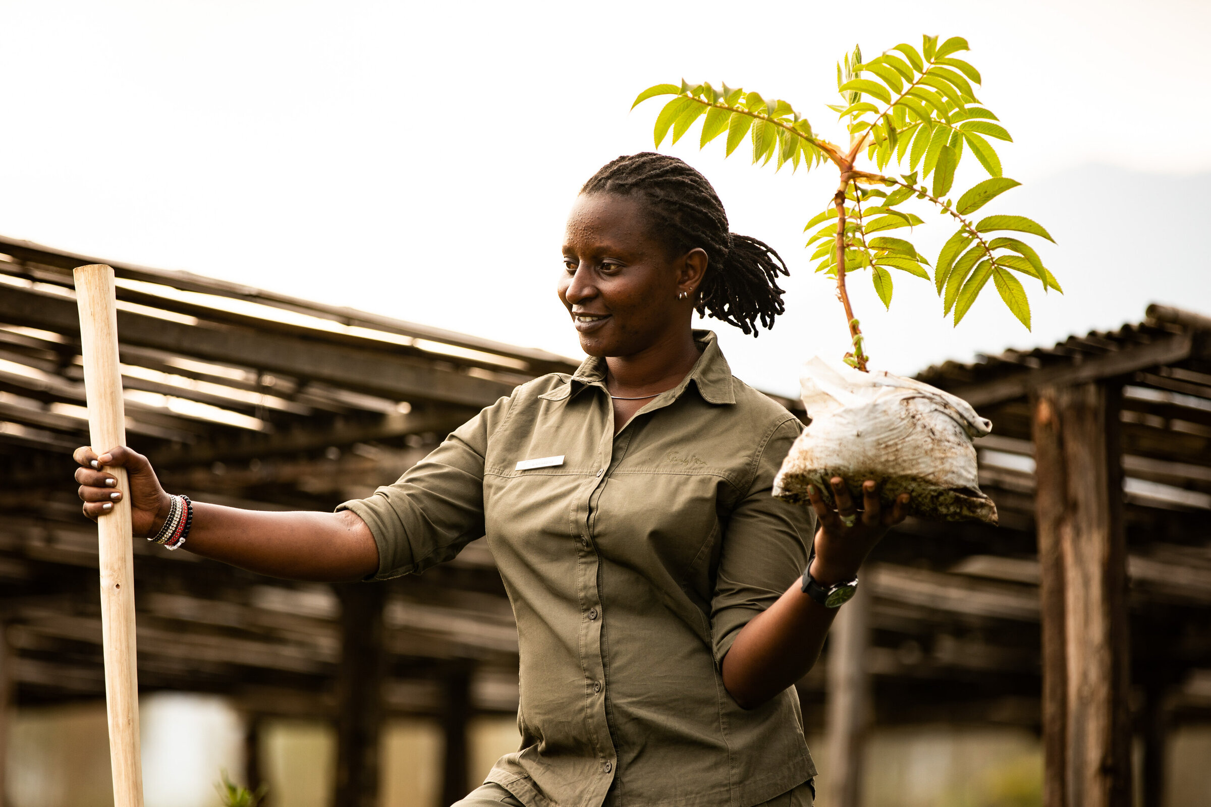 Singita Volcanoes National Park_Akarabo Nursery_Tree planting-2