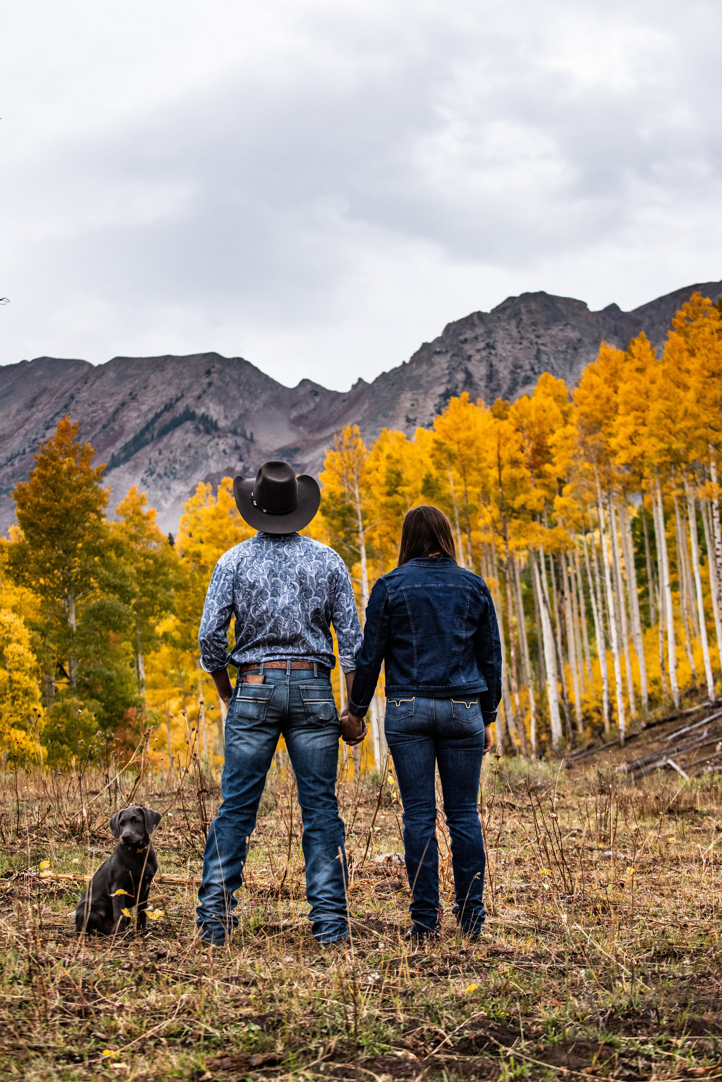 Autumn mountain engagement with puppy