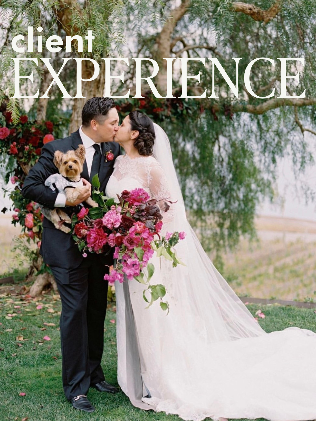 CLIENT EXPERIENCE COVER MASTER