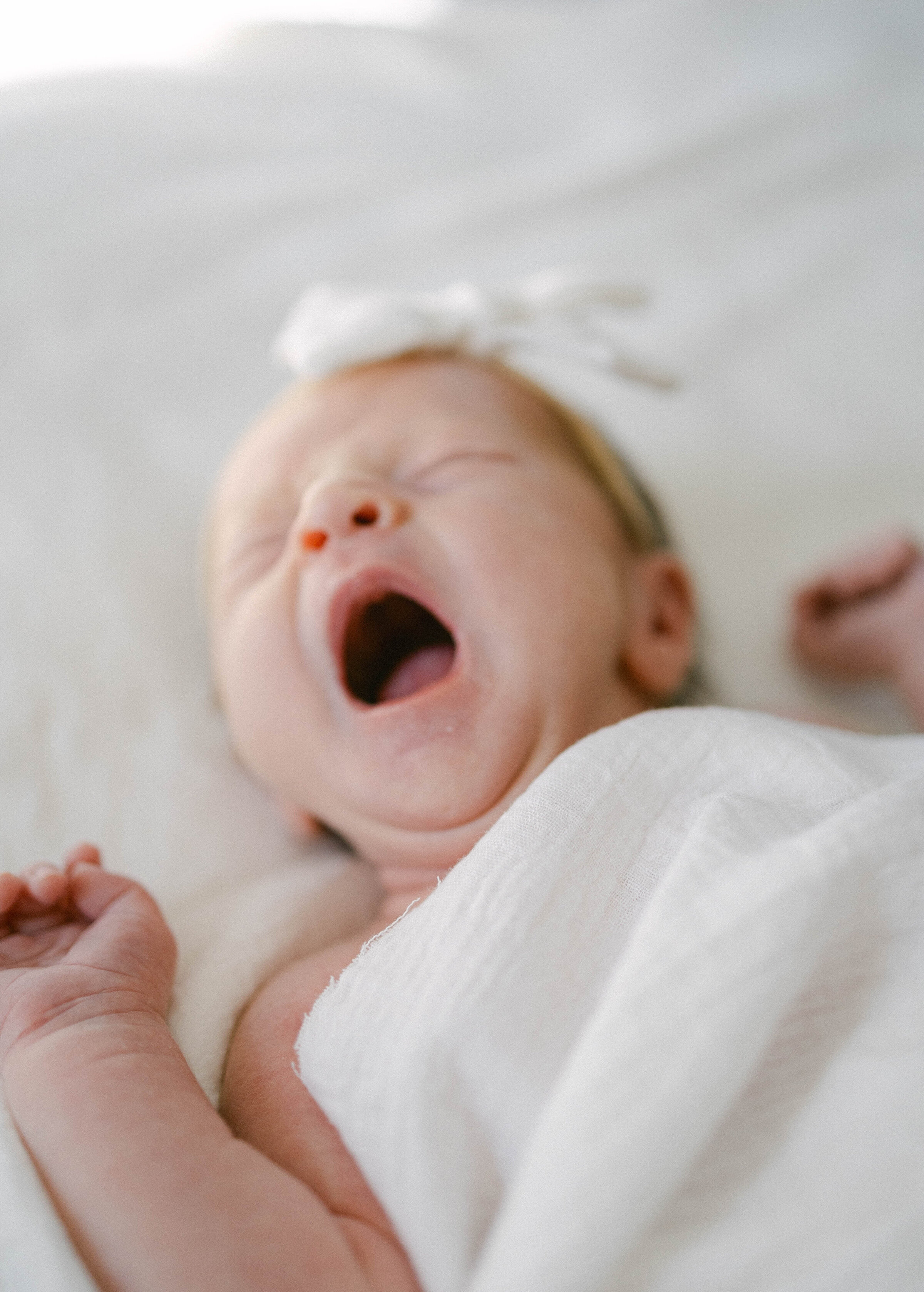 newborn baby yawning knoxville tennessee newborn photographer