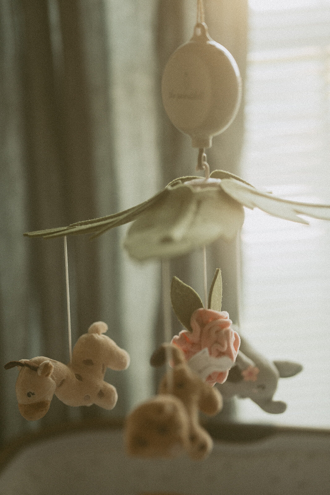 CronkFamilyNewborn-1_websize