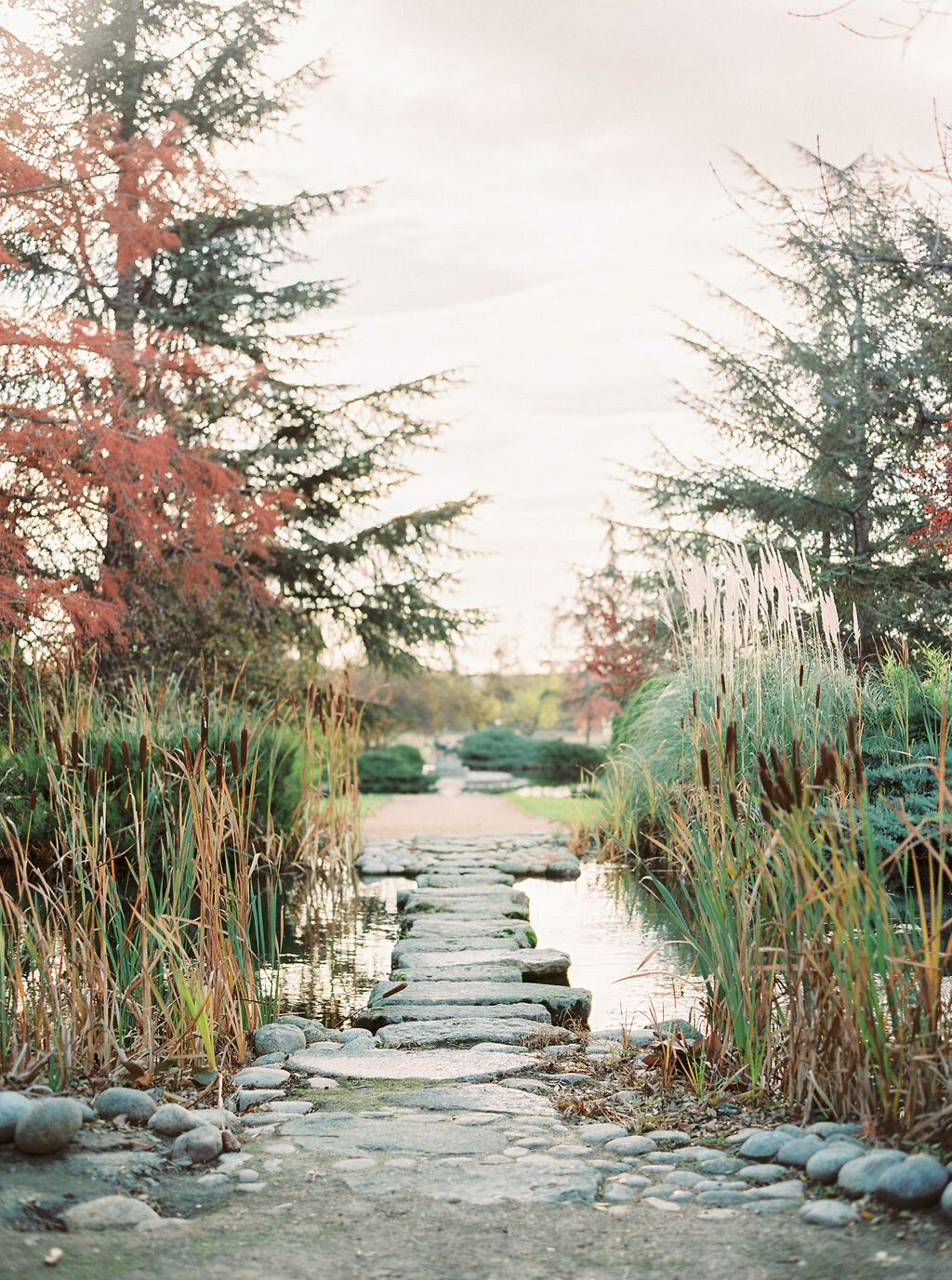 Masha_Golub_Photography_(12)