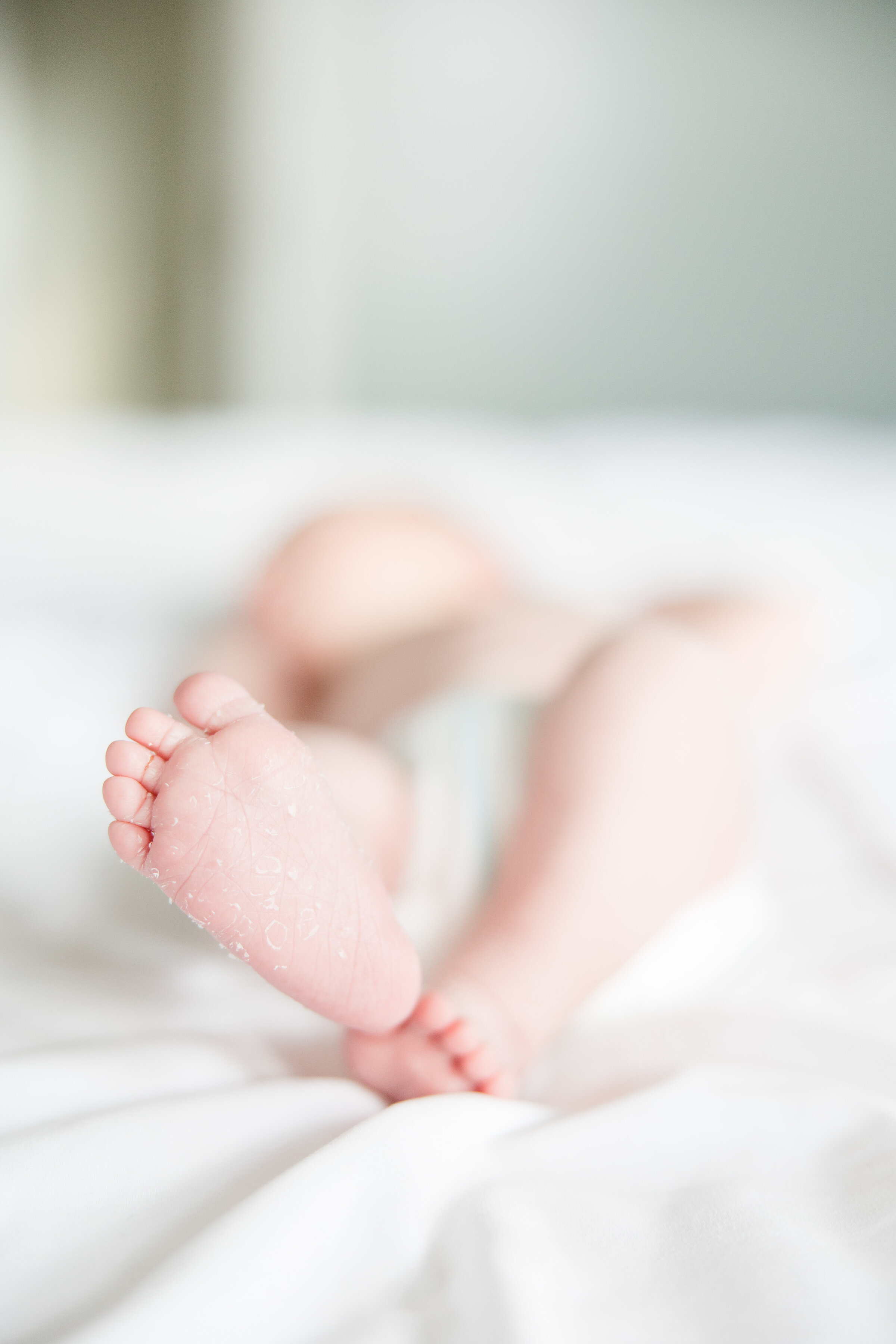 close up photo of newborn baby's foot