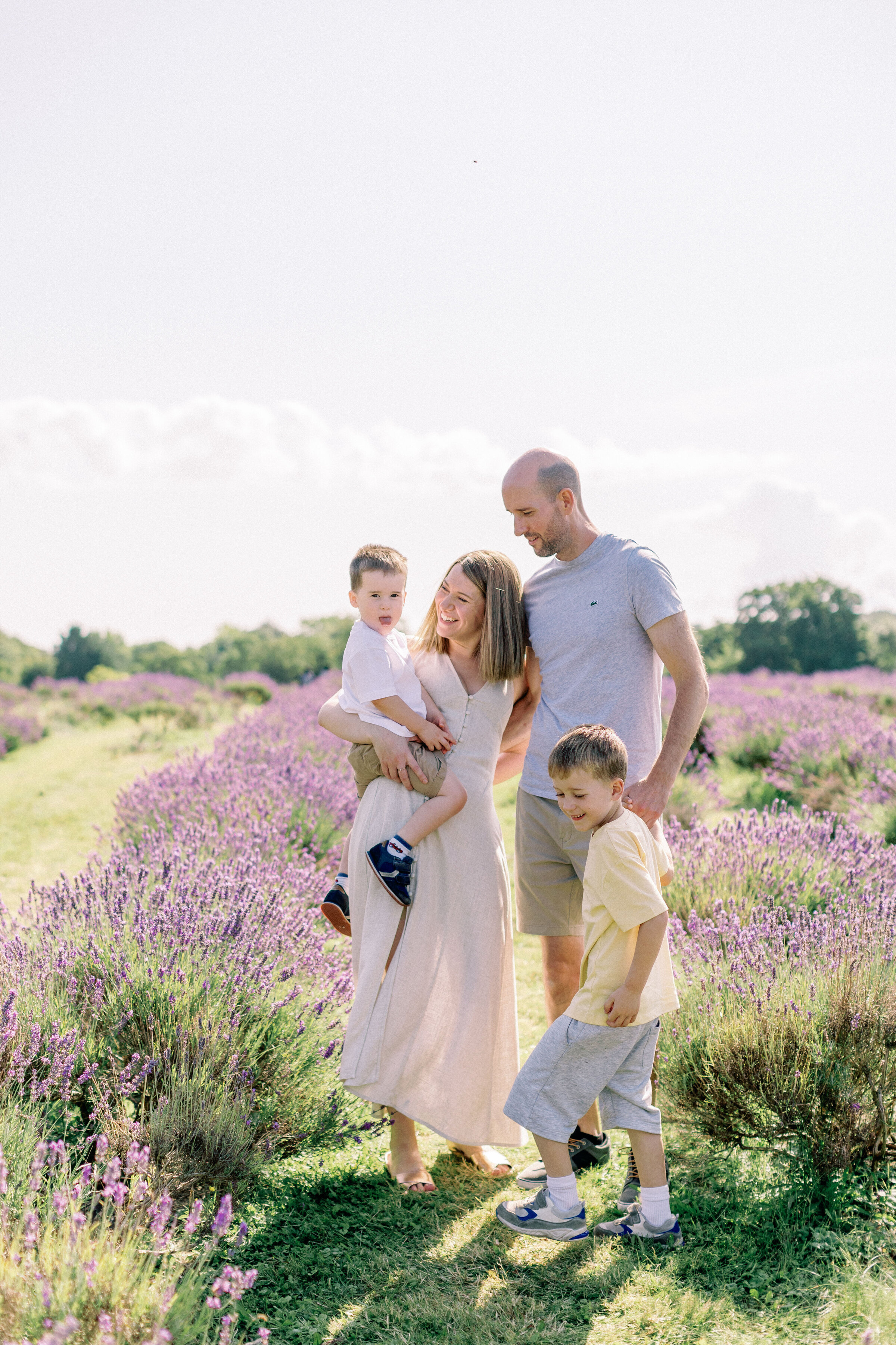 lavender-mini-shoot-2024-philippa-sian-photography-23