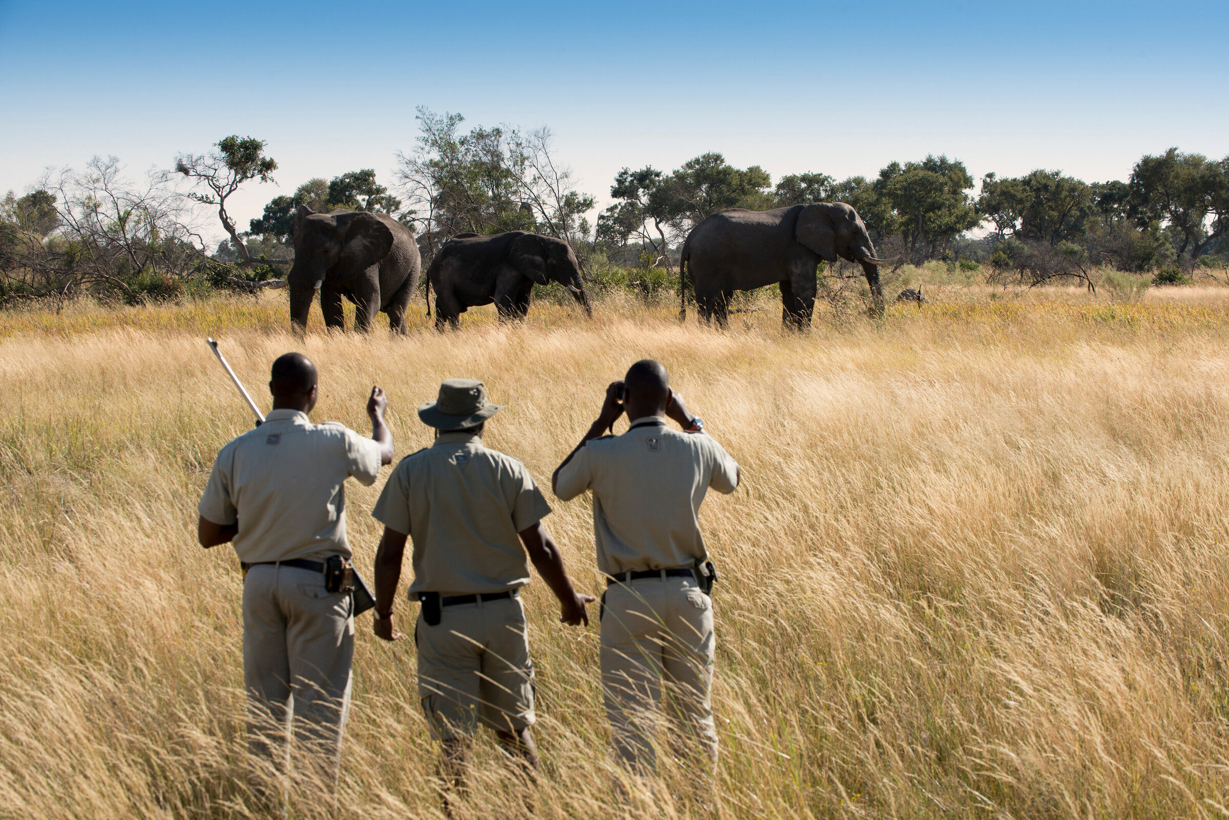Botswana-Xaranna-Experience-Bush-Walk-High-Resolution-Width=5000px-2