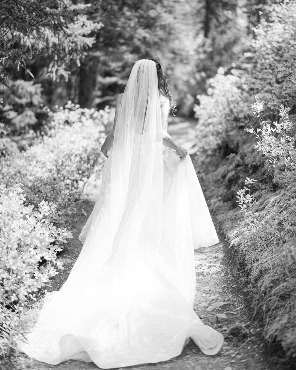 This serene portrait captures a bride walking gracefully through the forest at Lake Louise. The natural beauty of the surrounding trees and tranquil setting enhances the elegance and peacefulness of her wedding day.
