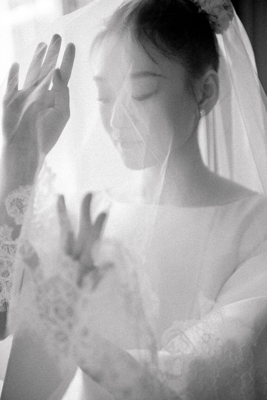 rose-and-tao-preview-5 (1)