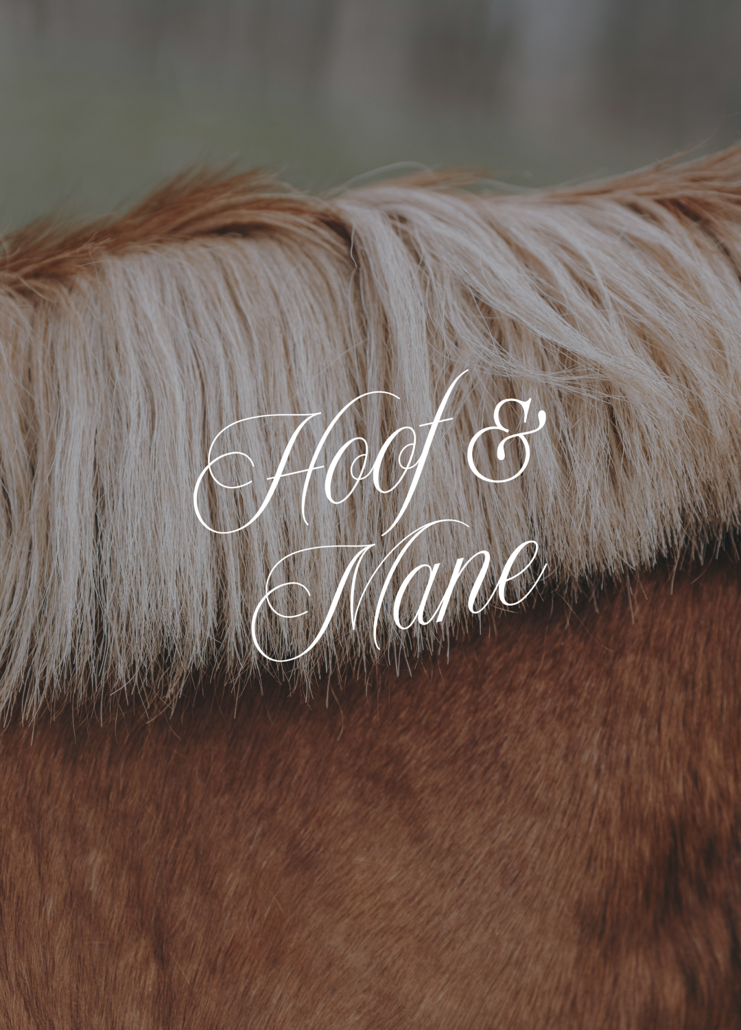 Hoof & Mane Script Variation