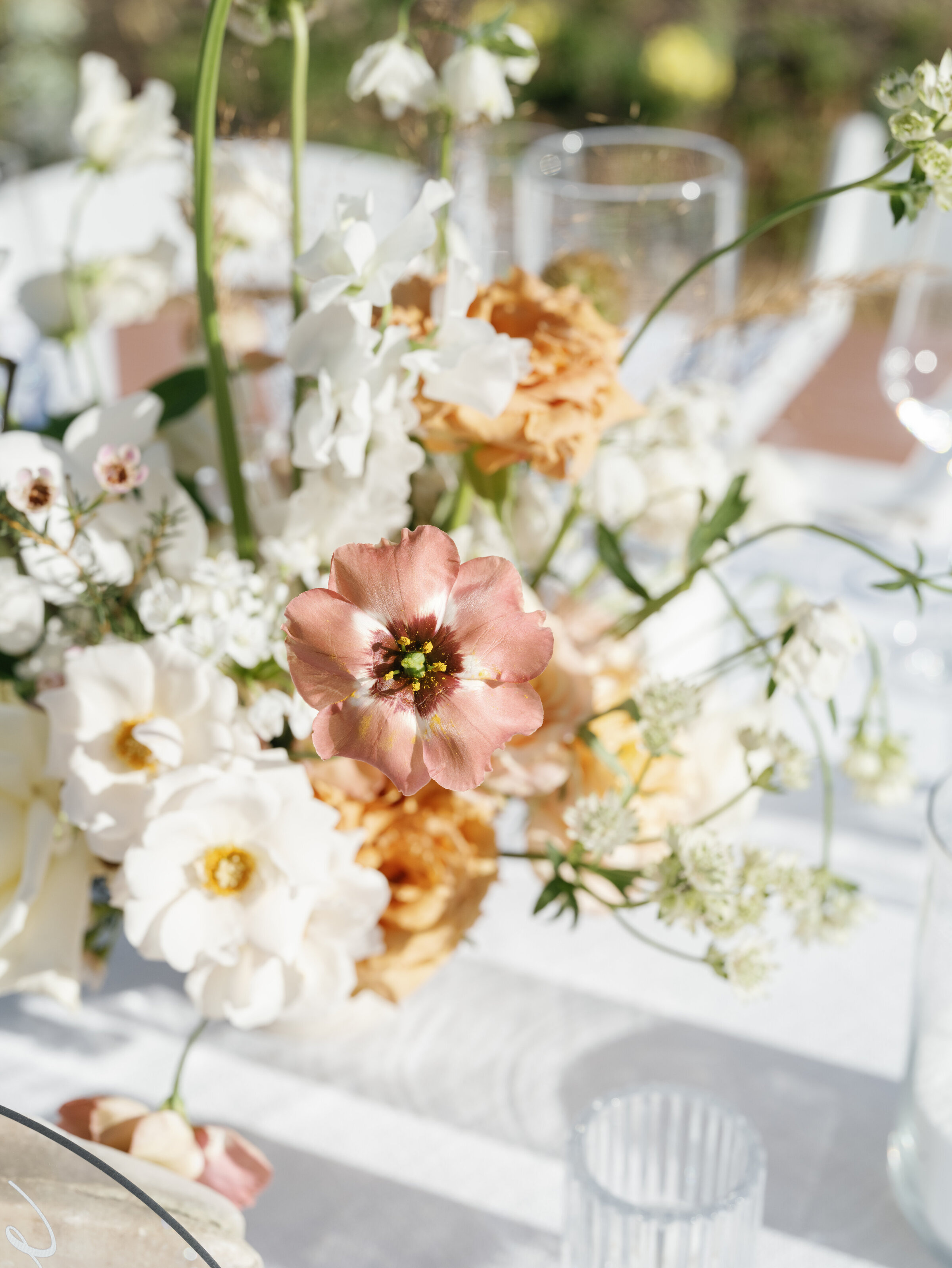 mikaylacphotos-7994