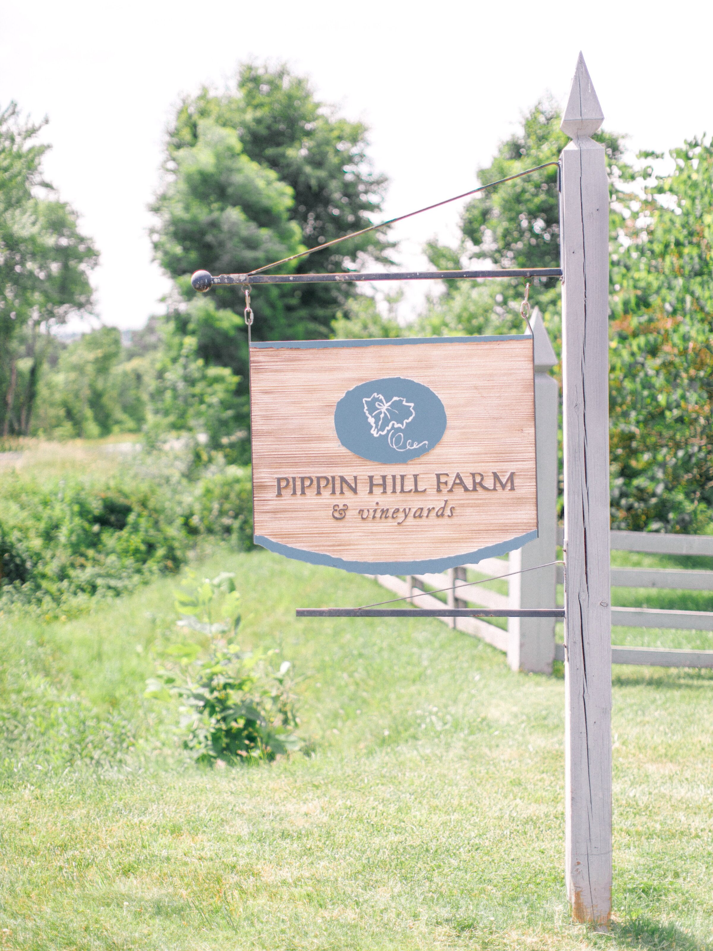 Pippin Hill Wedding Charlottesville Virginia Photographer_15